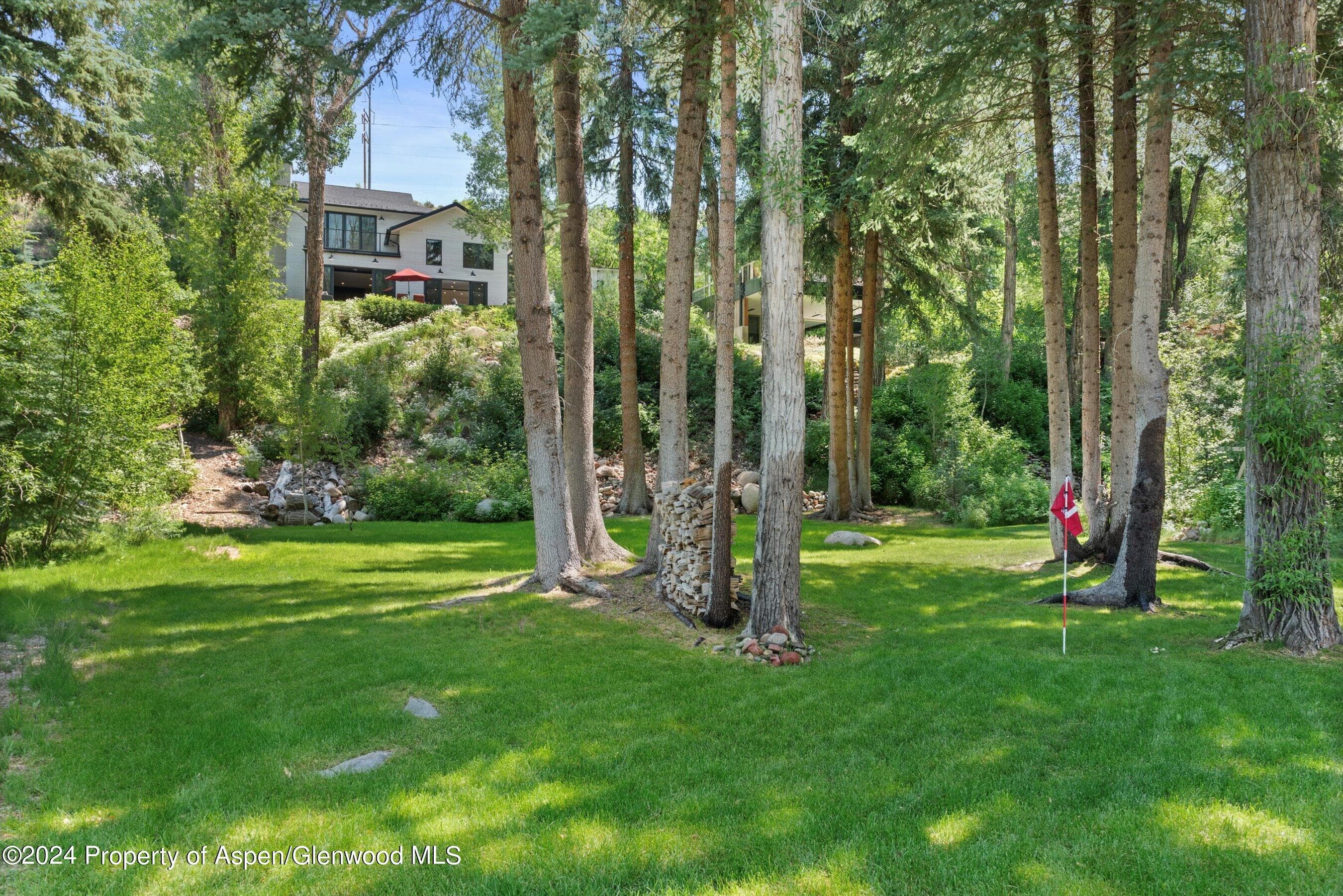 117 S Little Texas Lane, Woody Creek, CO 81656 - Photo 39