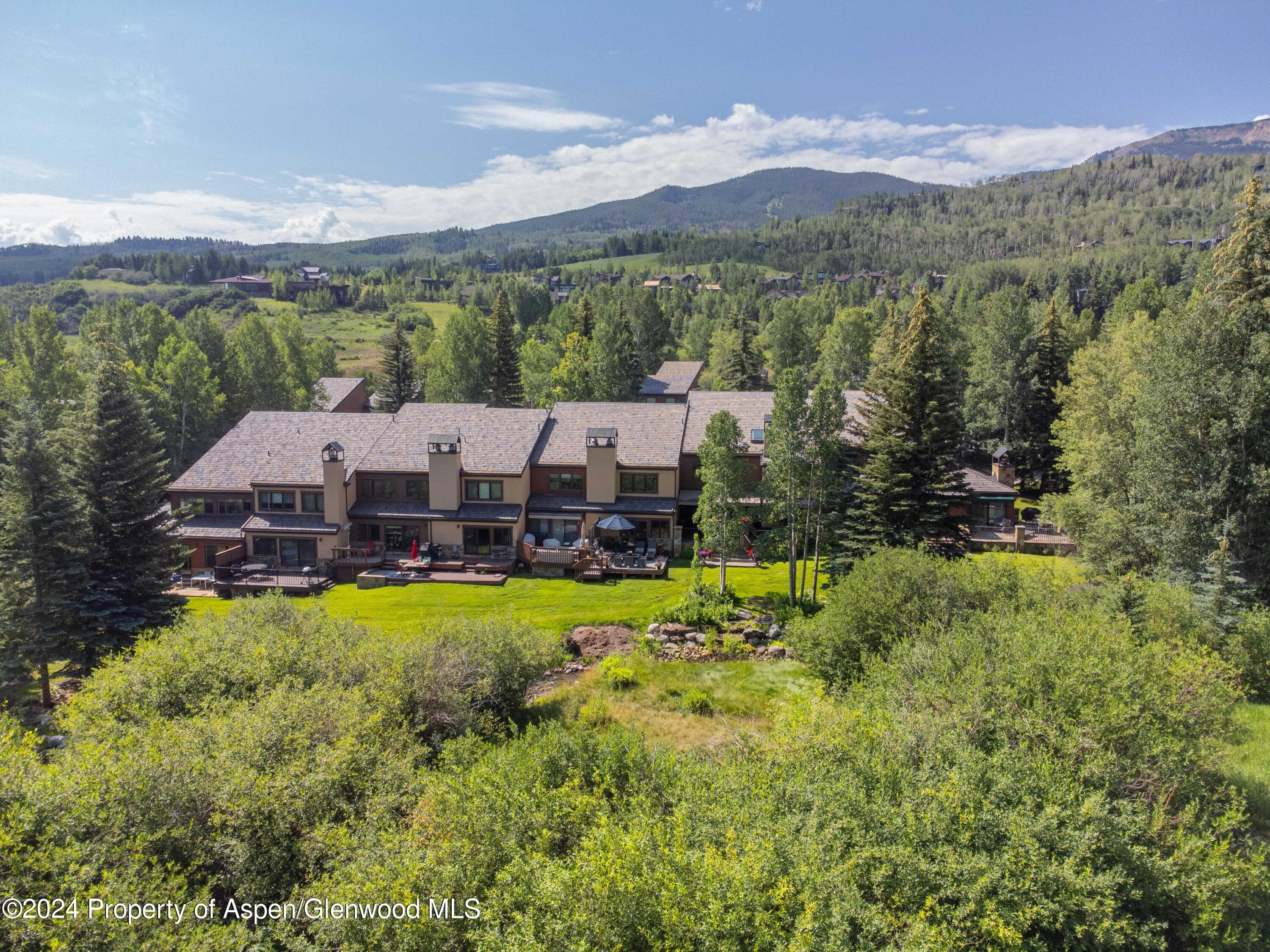 115 Harleston Green 63, Snowmass Village, CO 81615 - Photo 14
