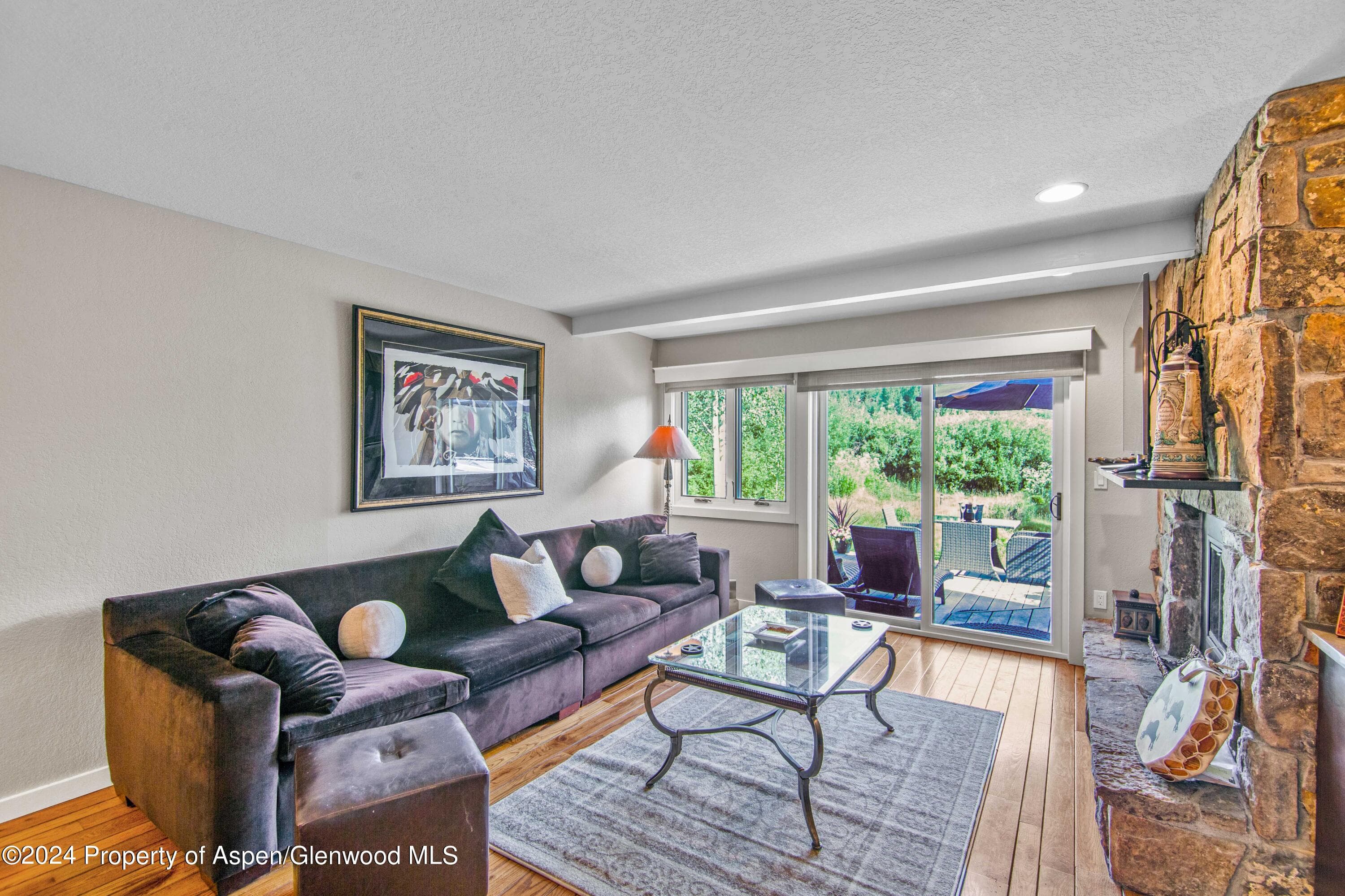 115 Harleston Green 63, Snowmass Village, CO 81615 - Photo 10