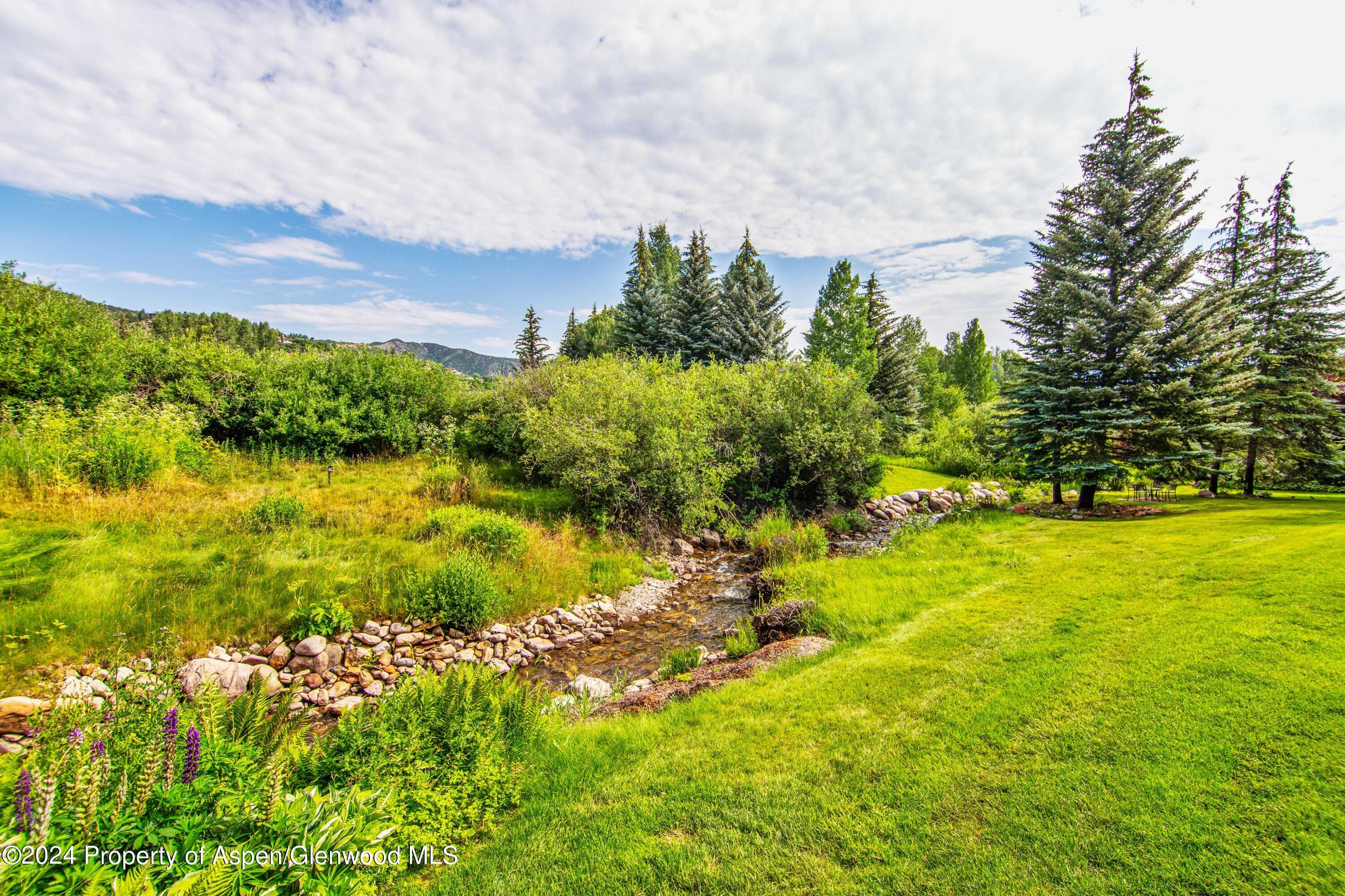 115 Harleston Green 63, Snowmass Village, CO 81615 - Photo 21