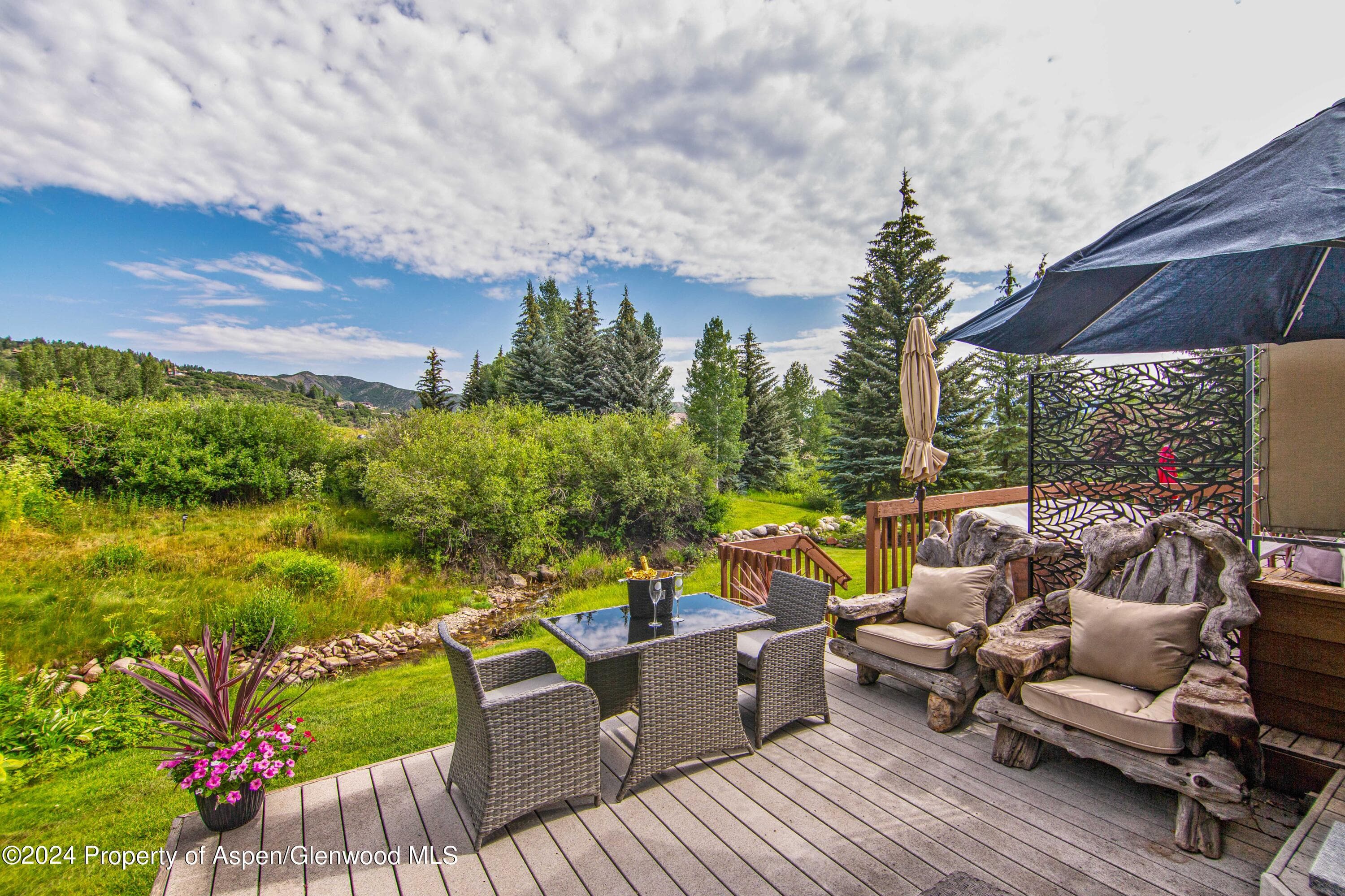 115 Harleston Green 63, Snowmass Village, CO 81615 - Photo 6
