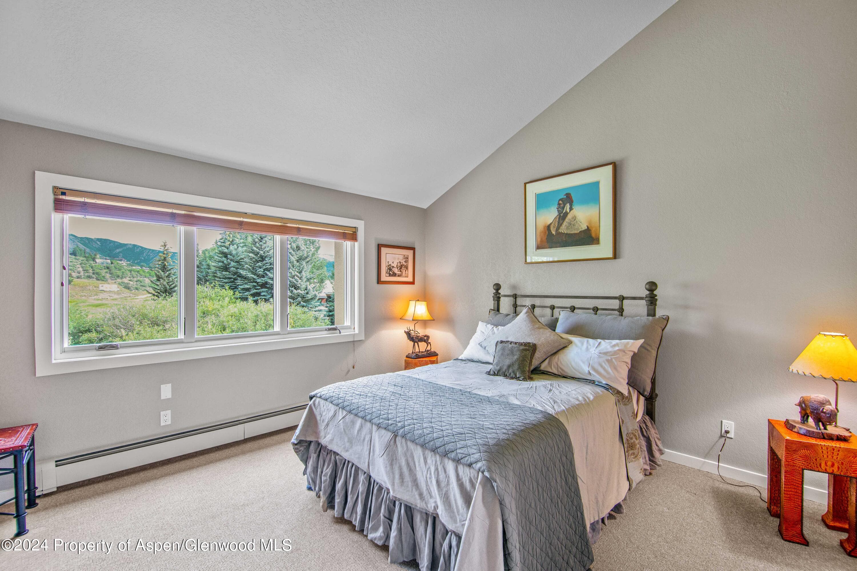 115 Harleston Green 63, Snowmass Village, CO 81615 - Photo 27