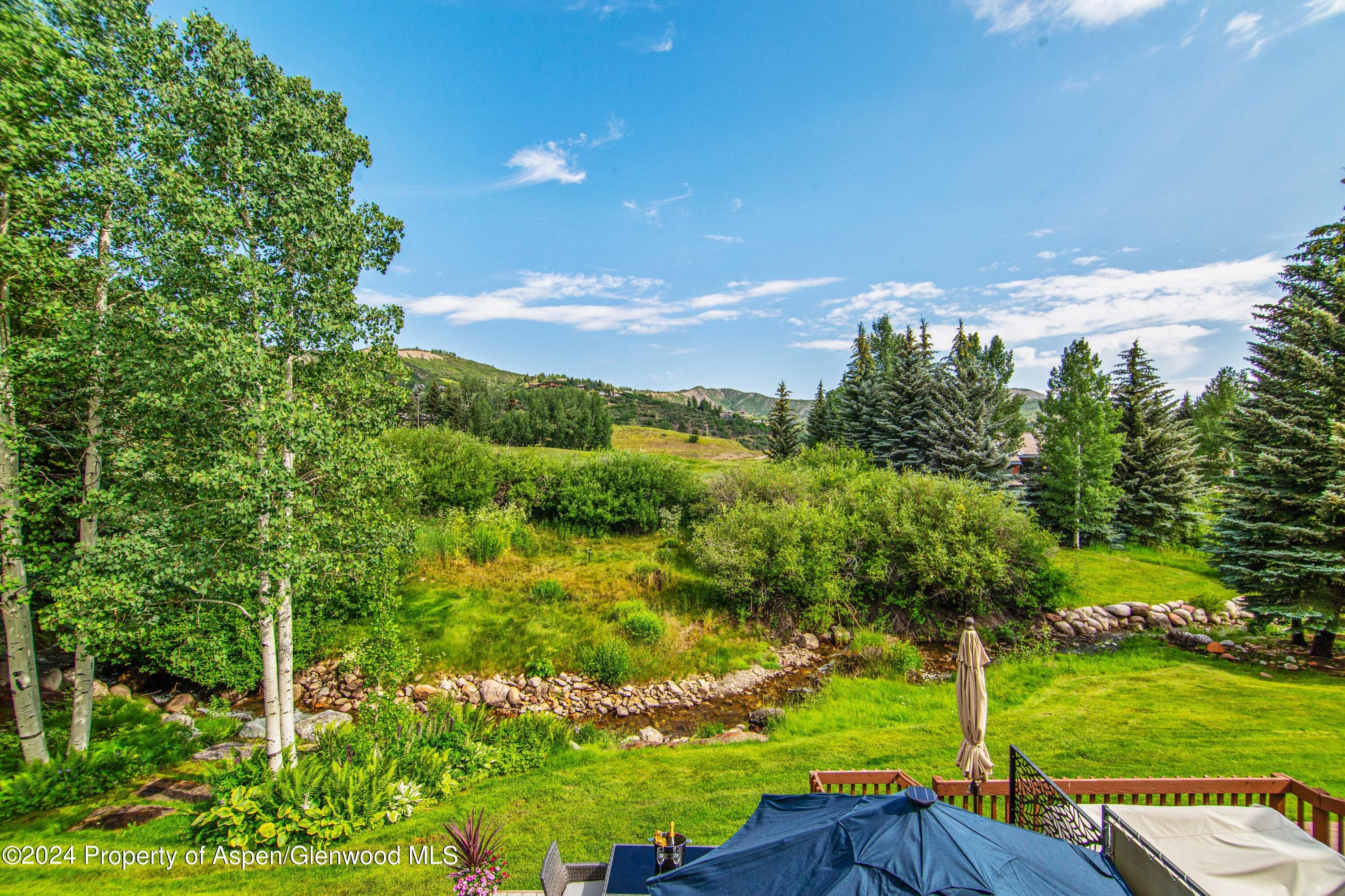 115 Harleston Green 63, Snowmass Village, CO 81615 - Photo 7