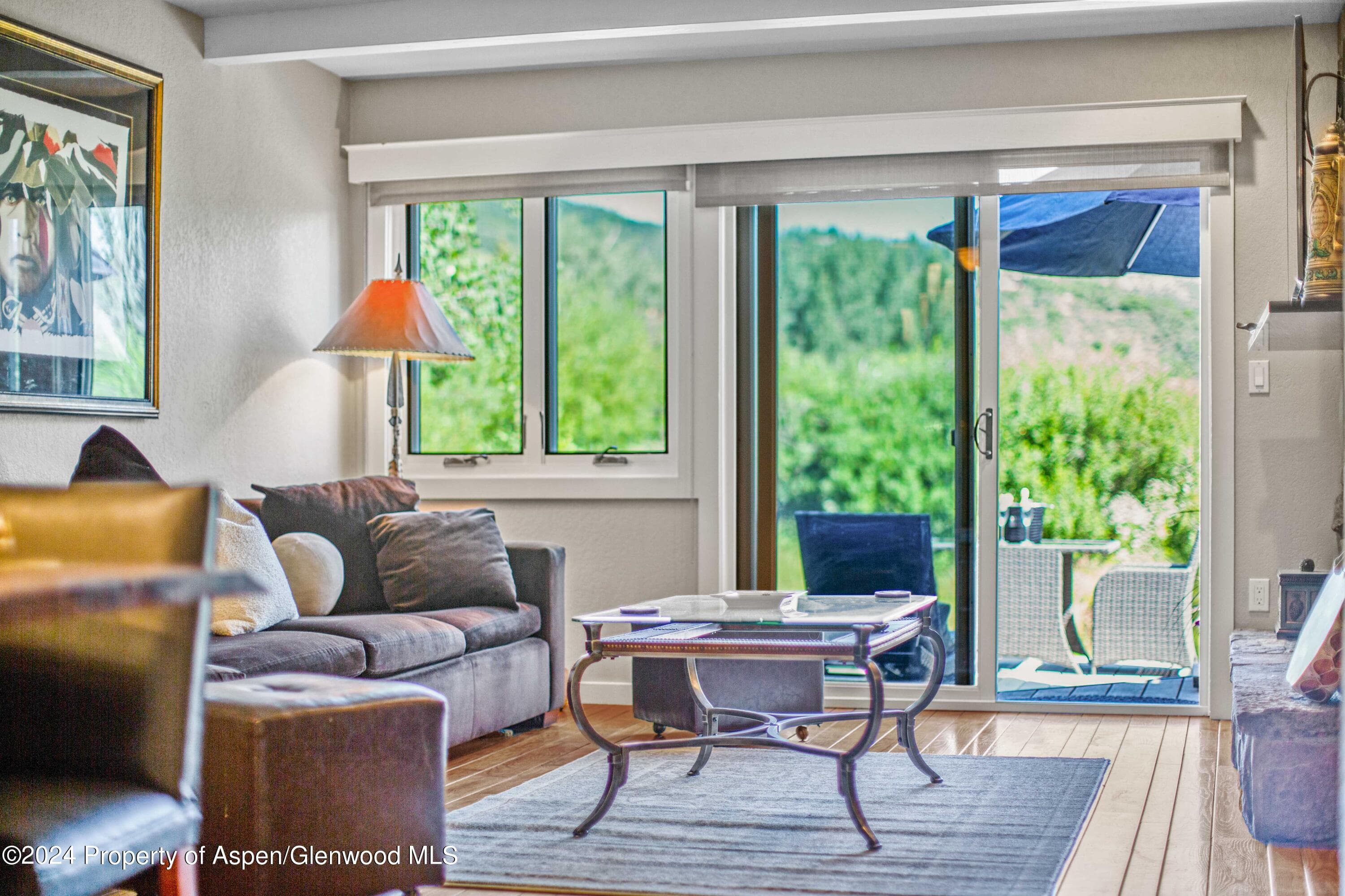 115 Harleston Green 63, Snowmass Village, CO 81615 - Photo 2