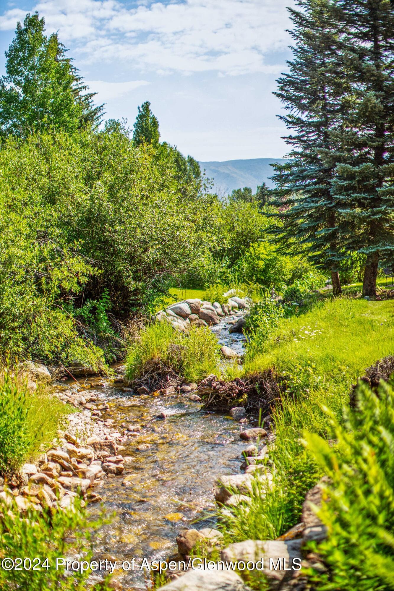 115 Harleston Green 63, Snowmass Village, CO 81615 - Photo 34