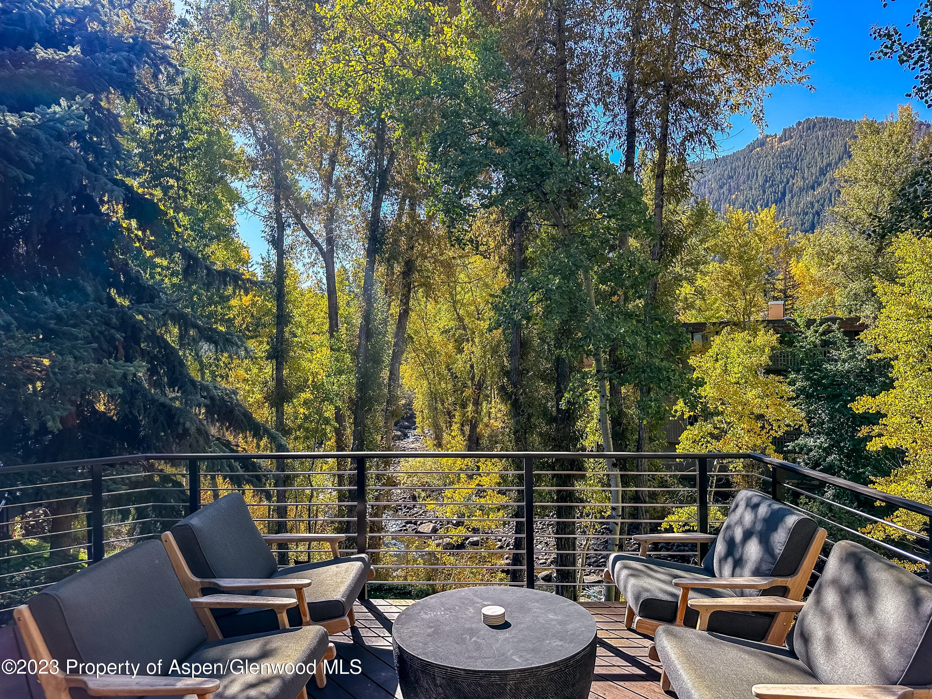 345 Park Avenue, Aspen, CO 81611 - Photo 6
