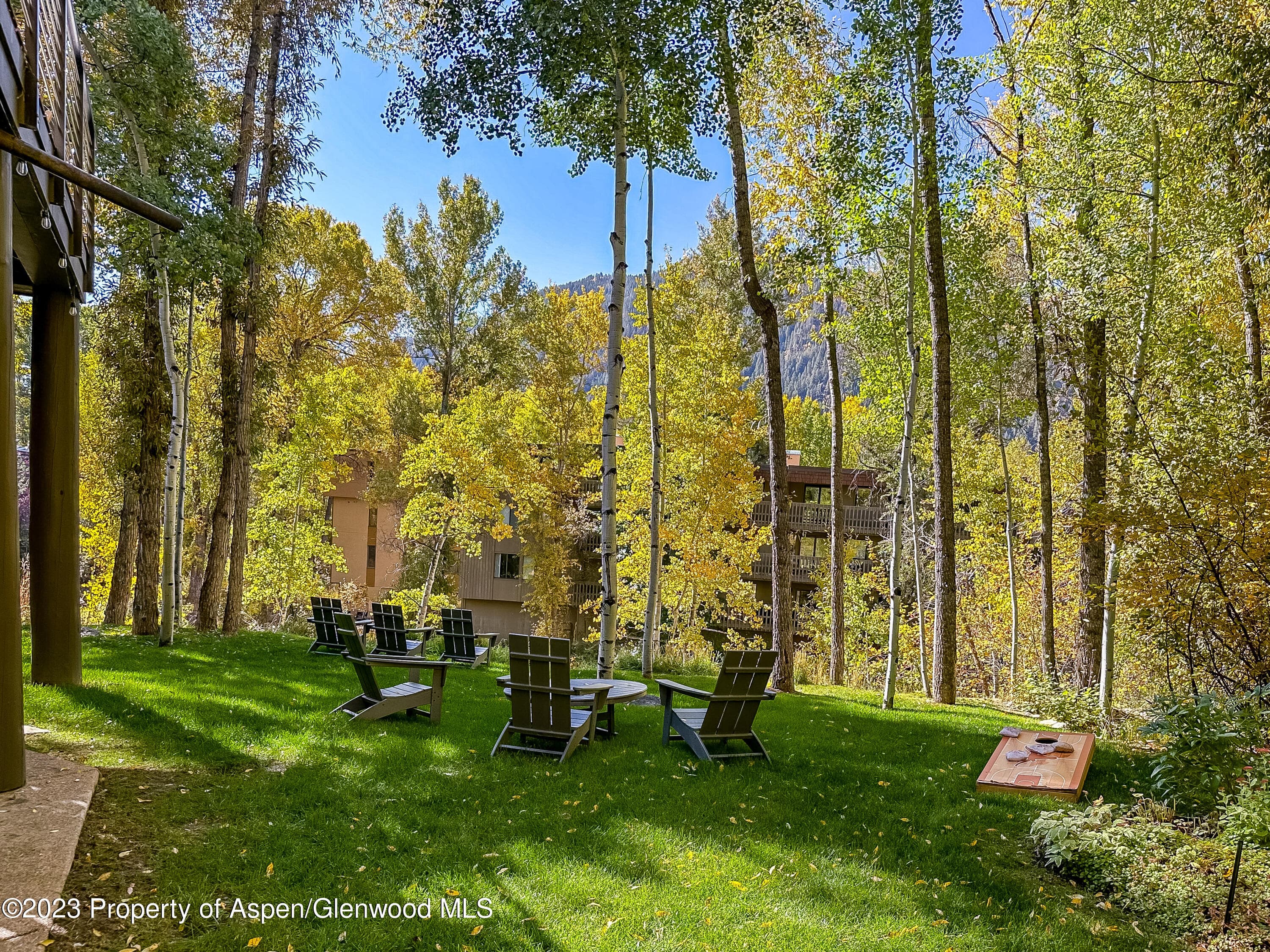 345 Park Avenue, Aspen, CO 81611 - Photo 27