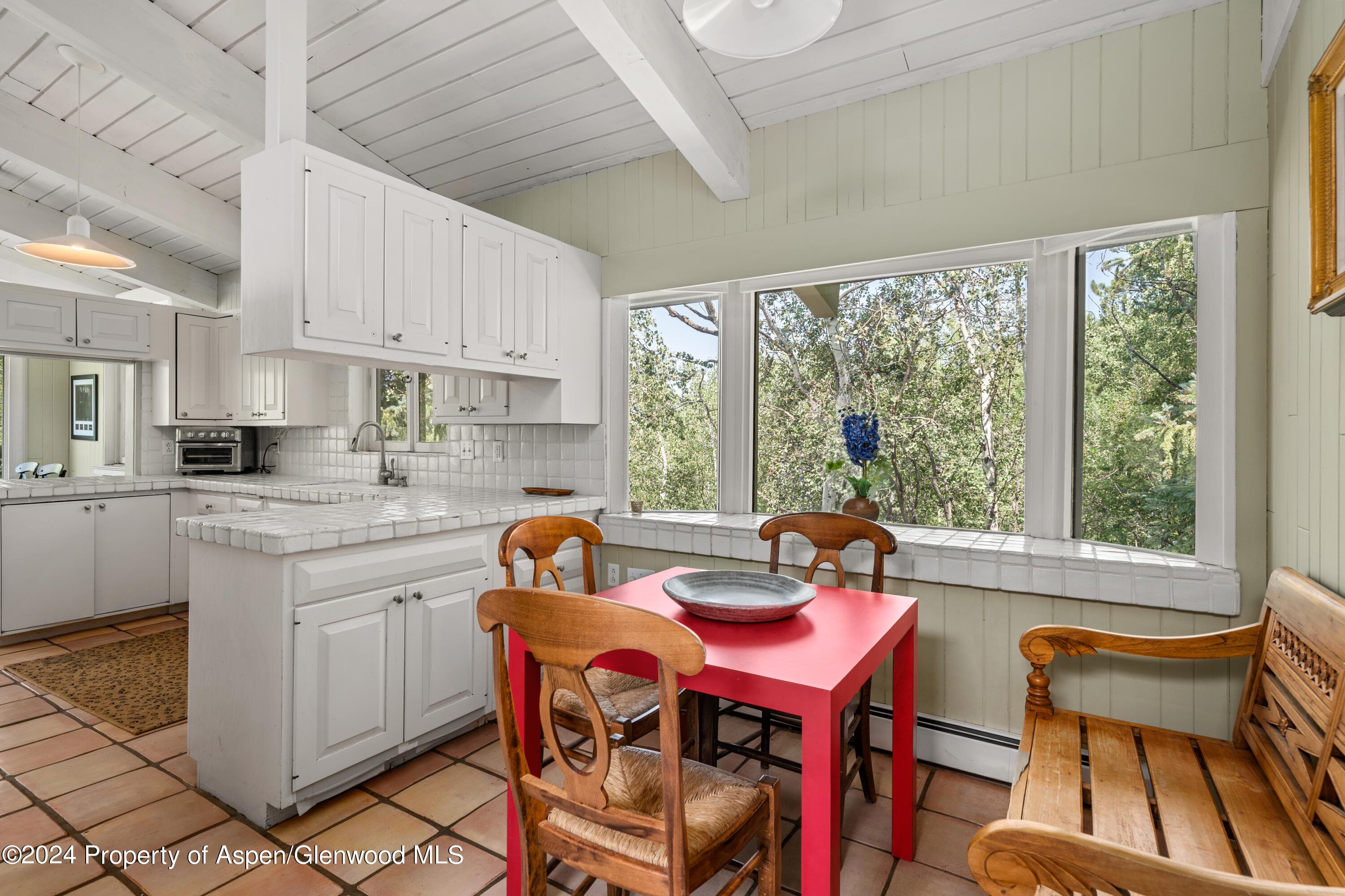 154 E Lupine Drive, Aspen, CO 81611 - Photo 13