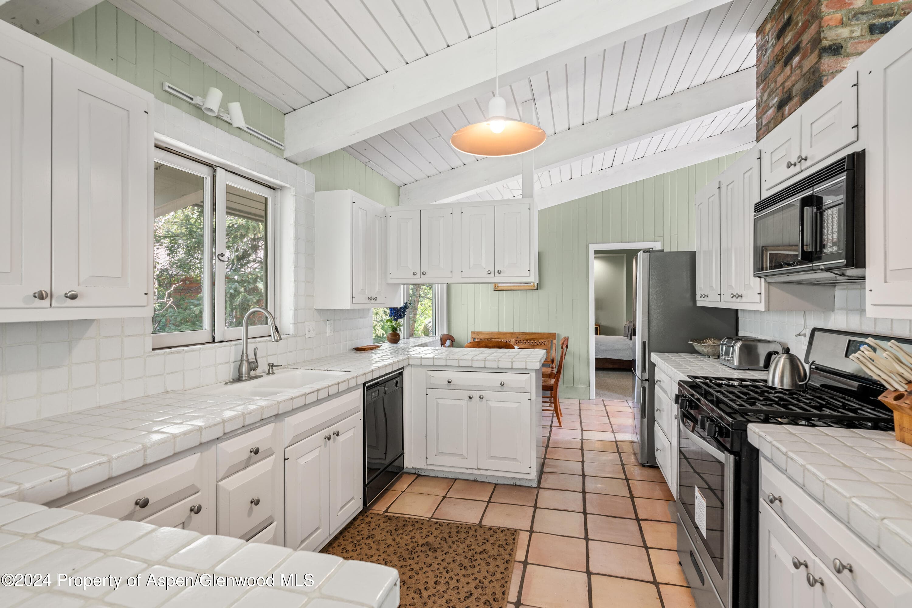 154 E Lupine Drive, Aspen, CO 81611 - Photo 10