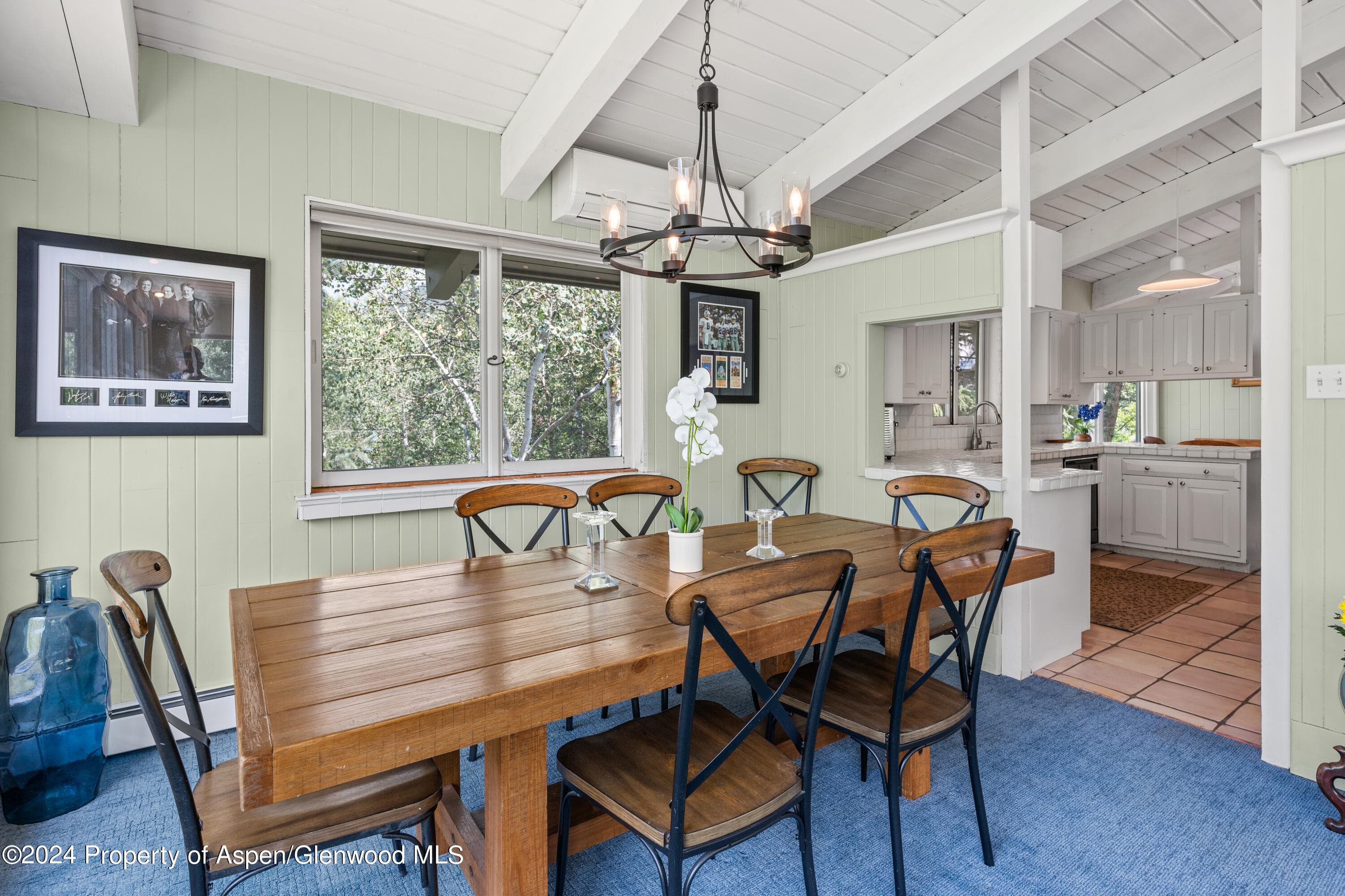 154 E Lupine Drive, Aspen, CO 81611 - Photo 9