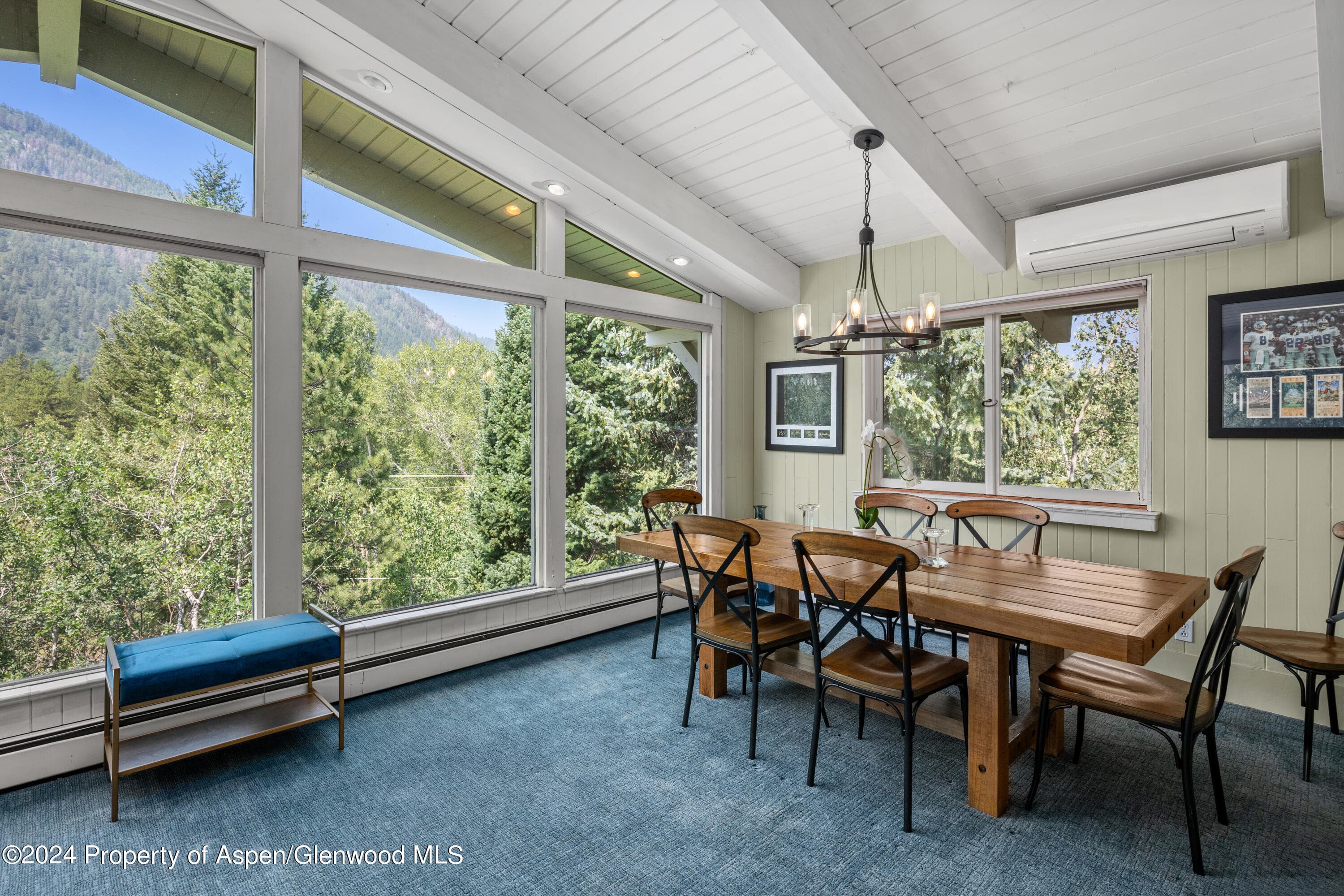 154 E Lupine Drive, Aspen, CO 81611 - Photo 8