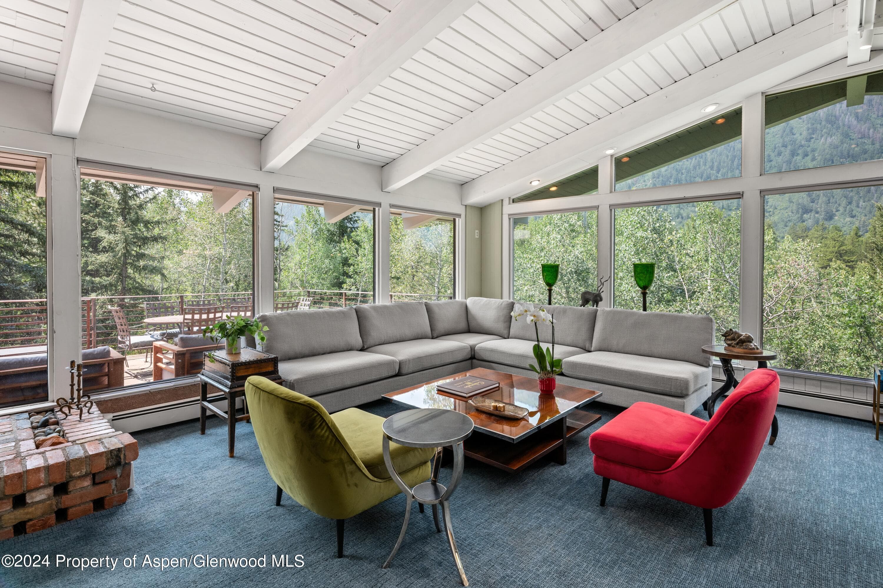 154 E Lupine Drive, Aspen, CO 81611 - Photo 4