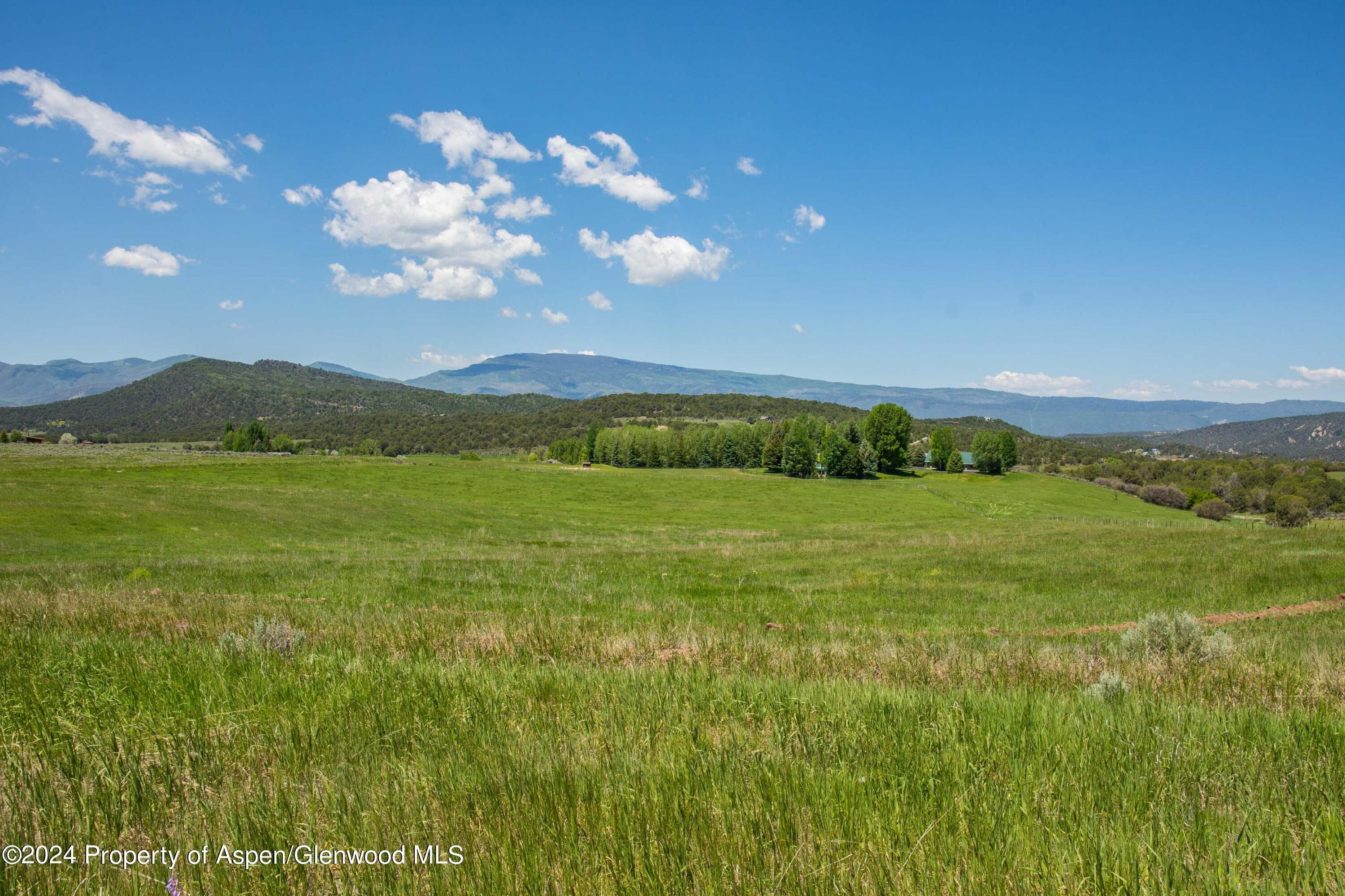 1900 Co Rd 103, Carbondale, CO 81623 - Photo 4