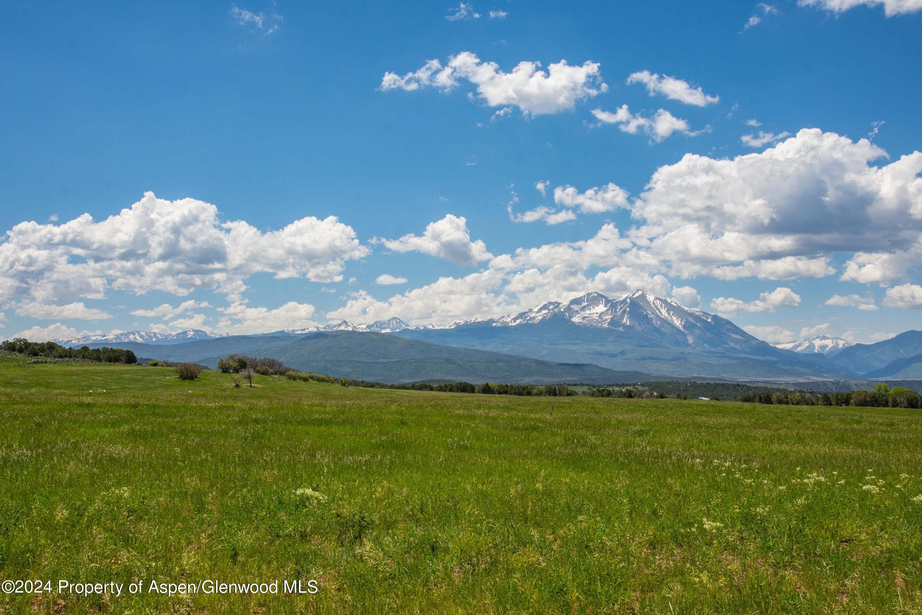 1900 Co Rd 103, Carbondale, CO 81623 - Photo 6