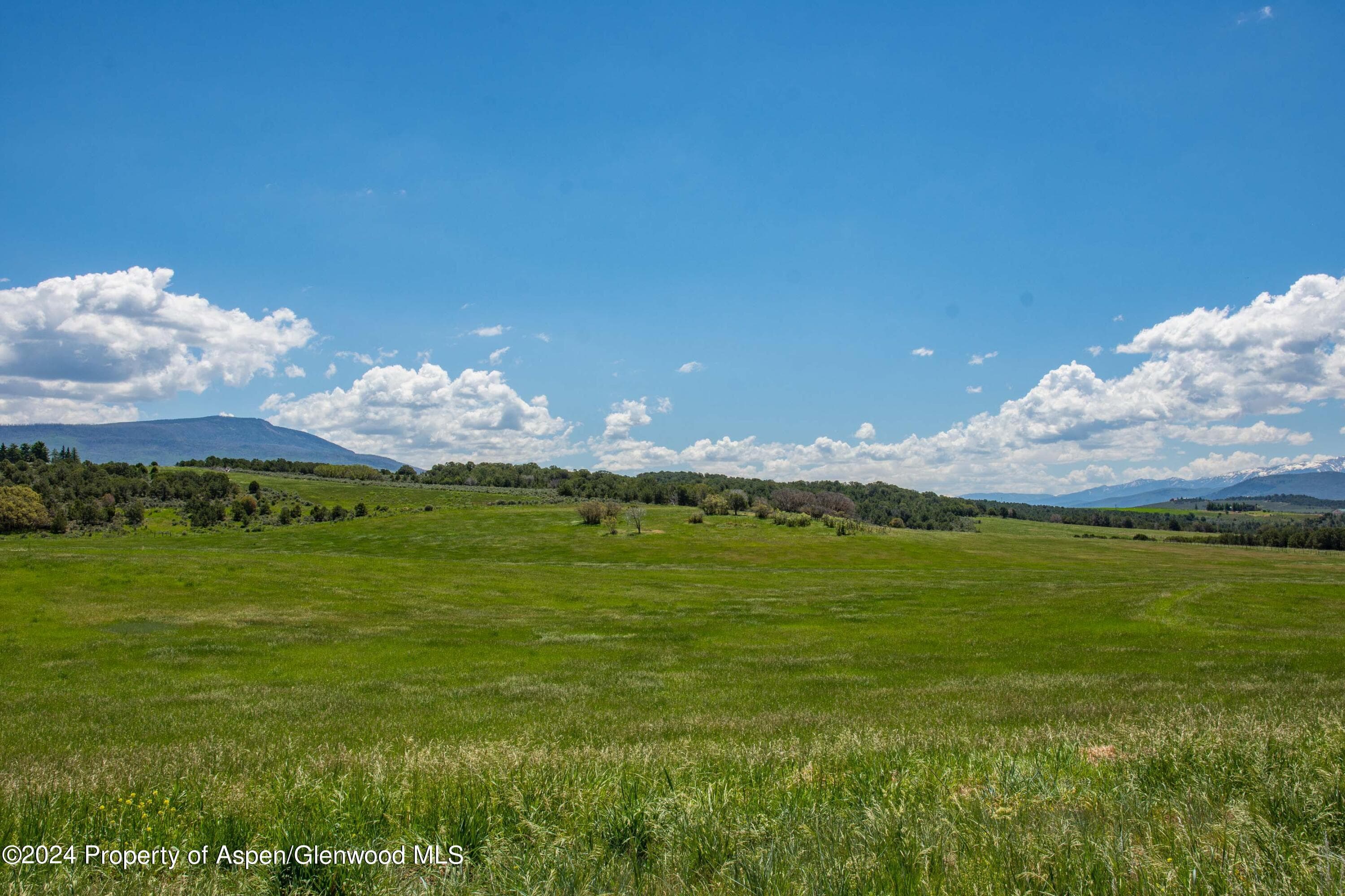 1900 Co Rd 103, Carbondale, CO 81623 - Photo 15