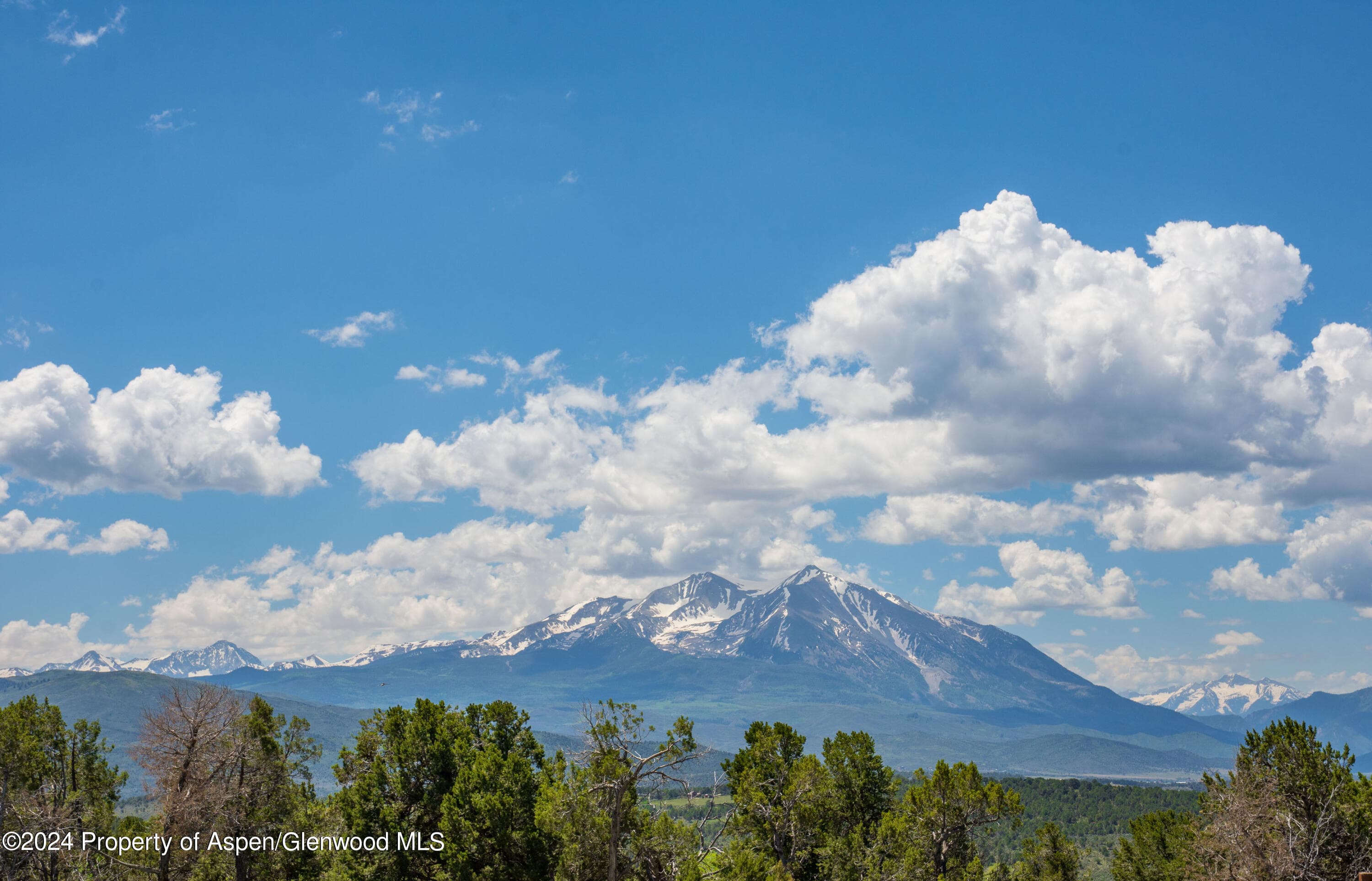 1900 Co Rd 103, Carbondale, CO 81623 - Photo 17