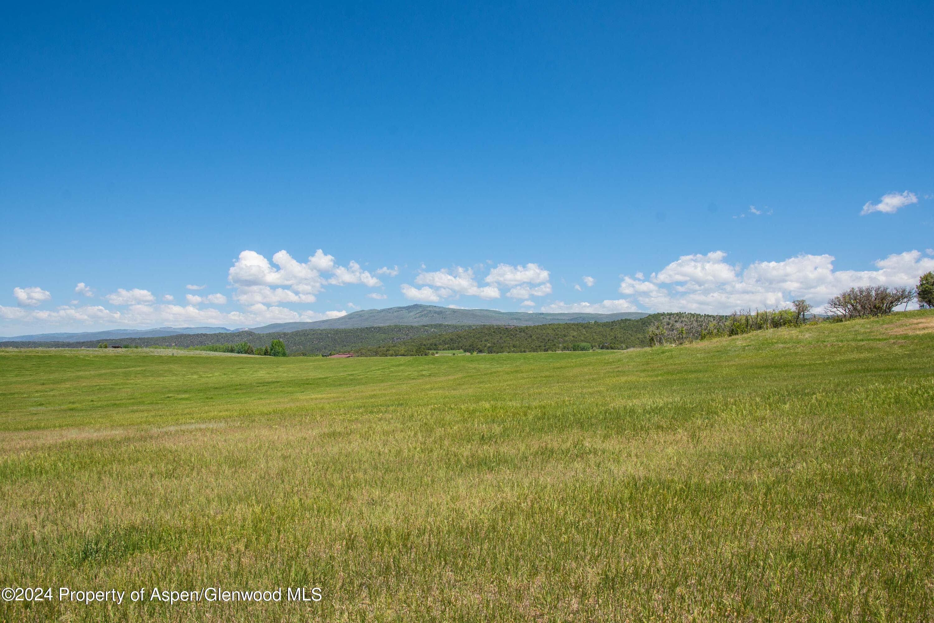 1900 Co Rd 103, Carbondale, CO 81623 - Photo 18