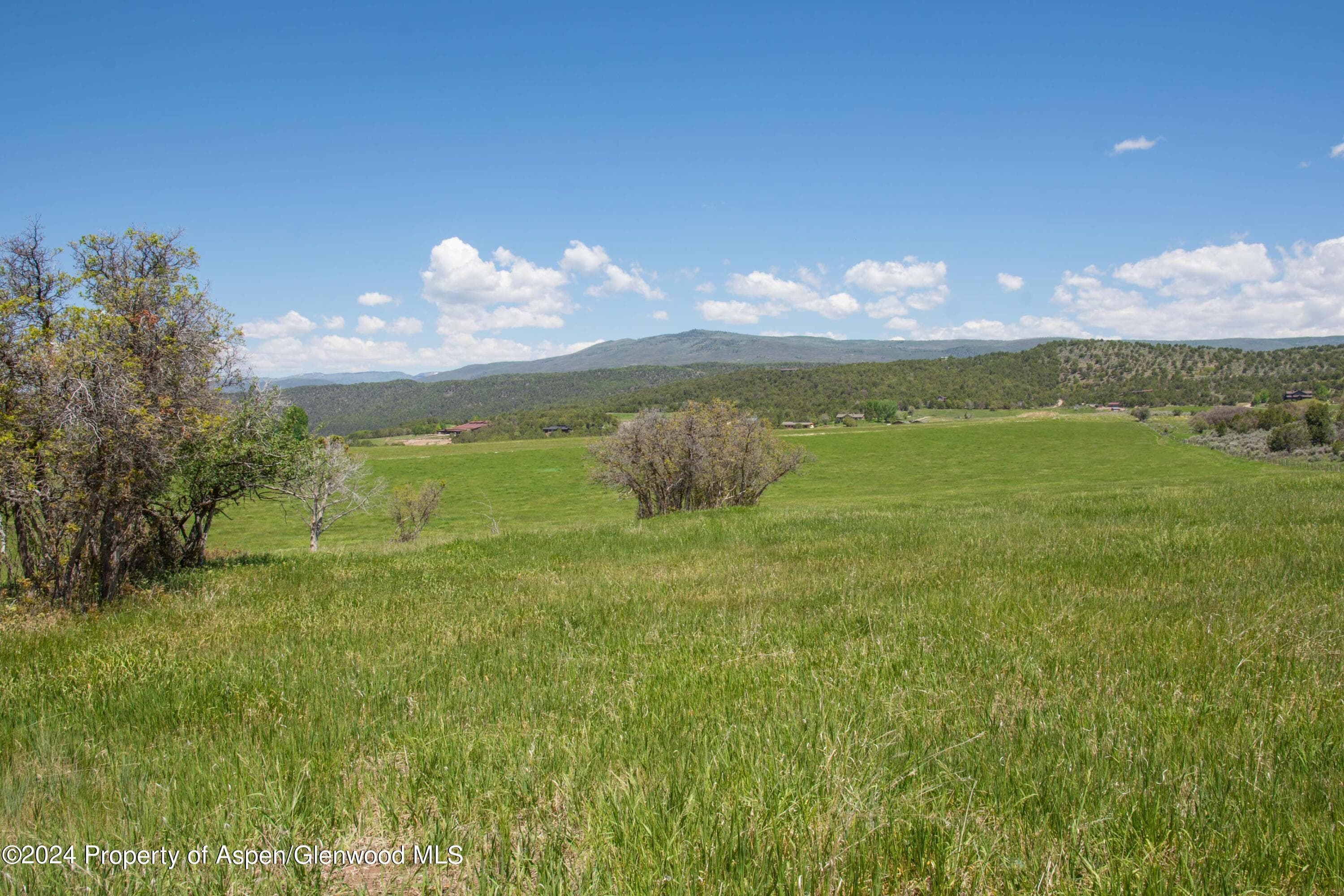 1900 Co Rd 103, Carbondale, CO 81623 - Photo 19