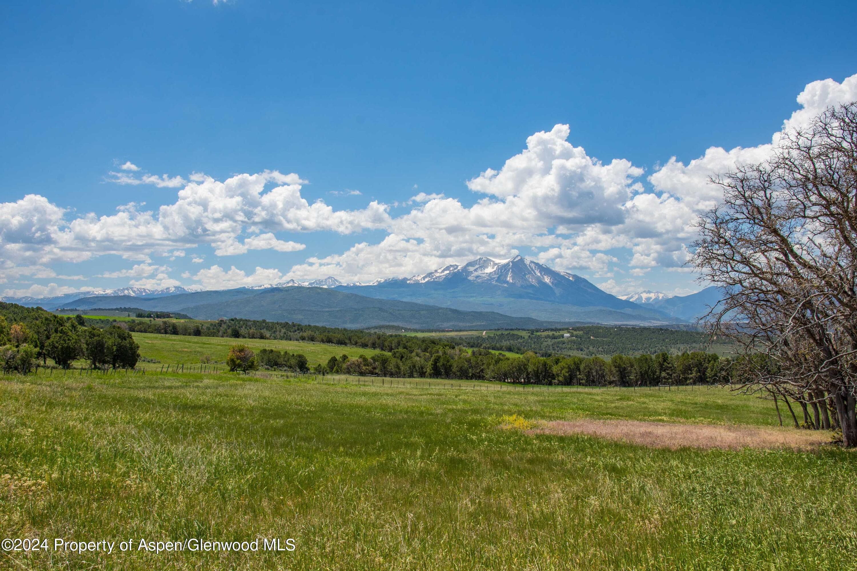 1900 Co Rd 103, Carbondale, CO 81623 - Photo 20