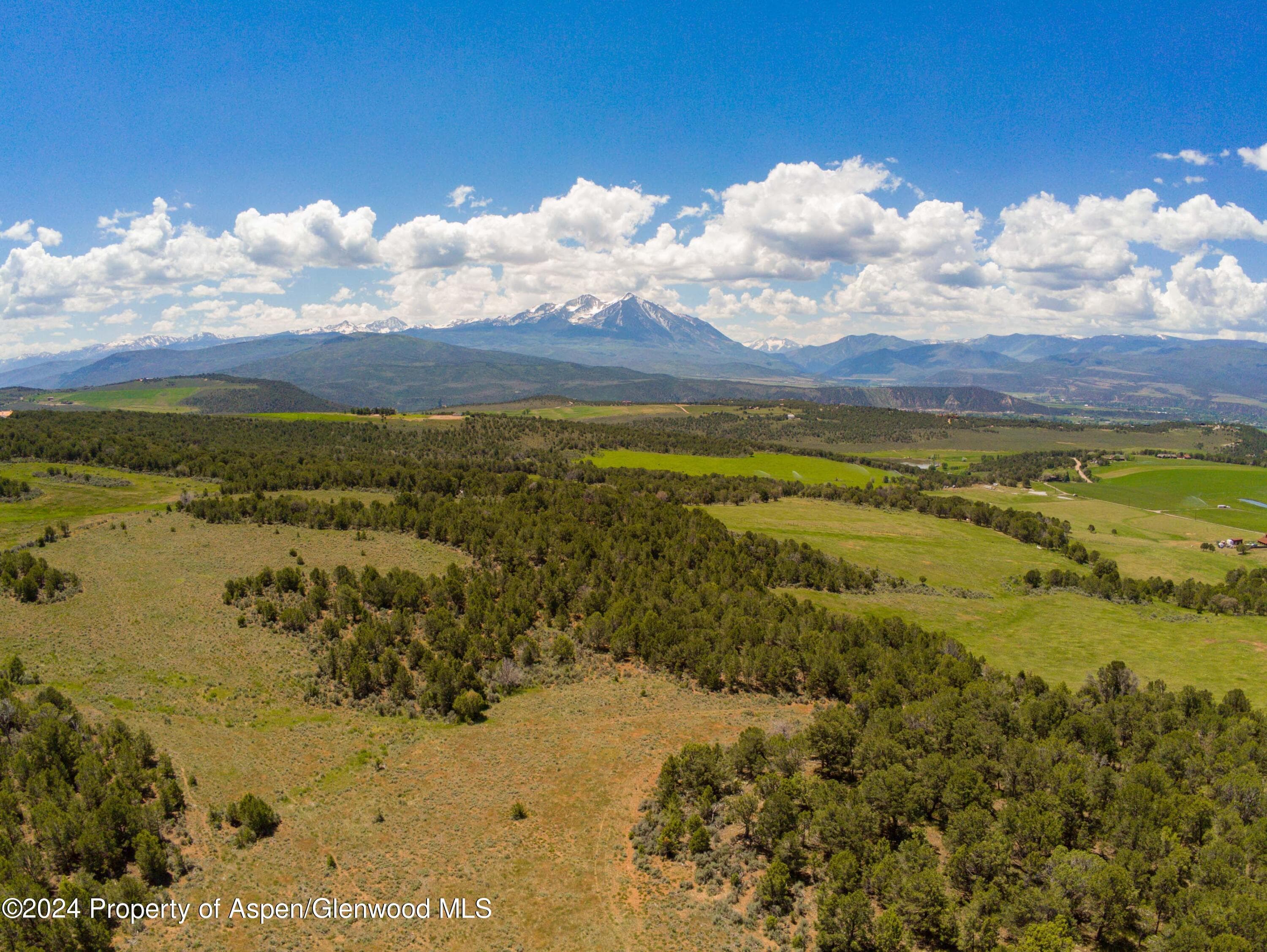 1900 Co Rd 103, Carbondale, CO 81623 - Photo 23