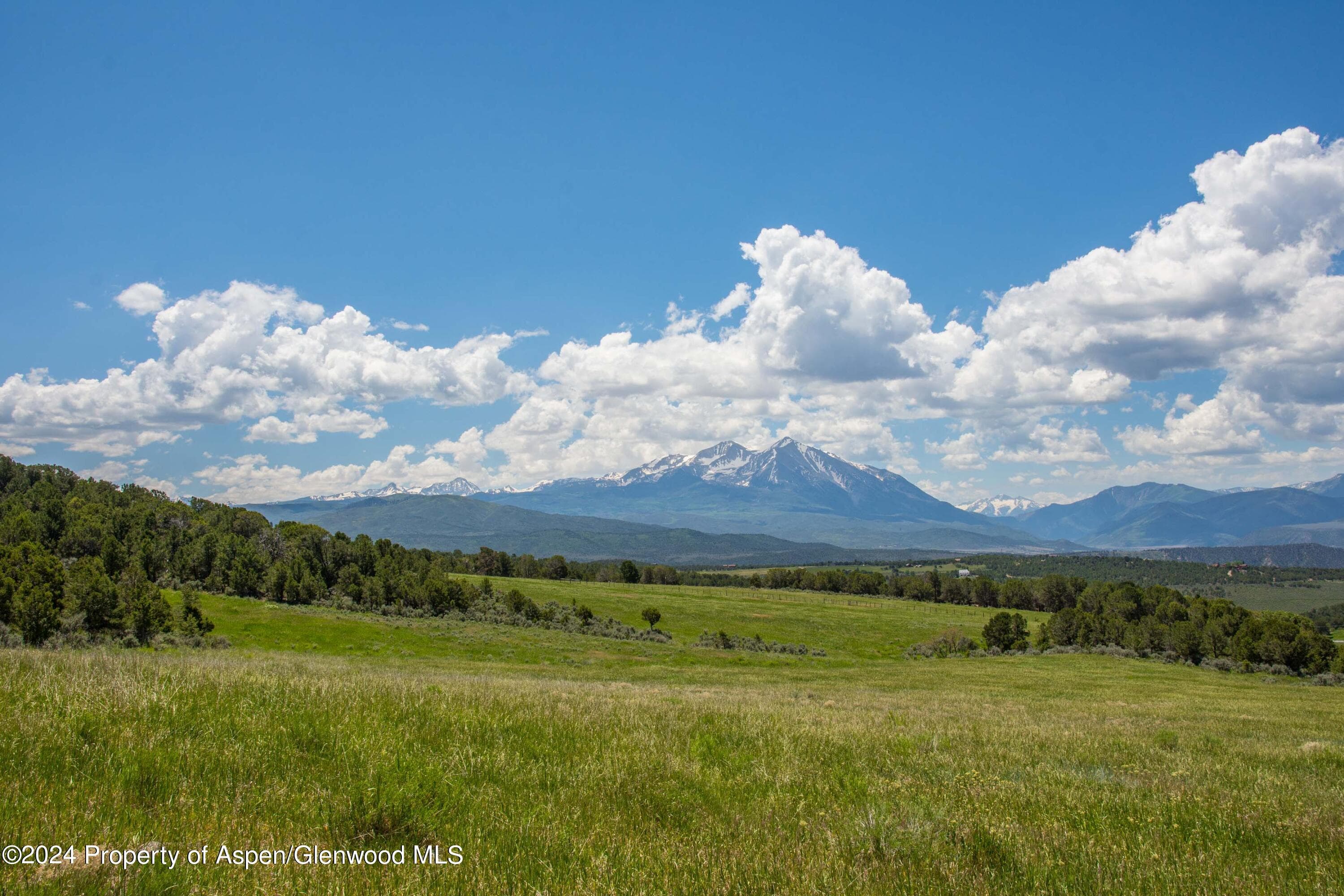 1900 Co Rd 103, Carbondale, CO 81623 - Photo 24