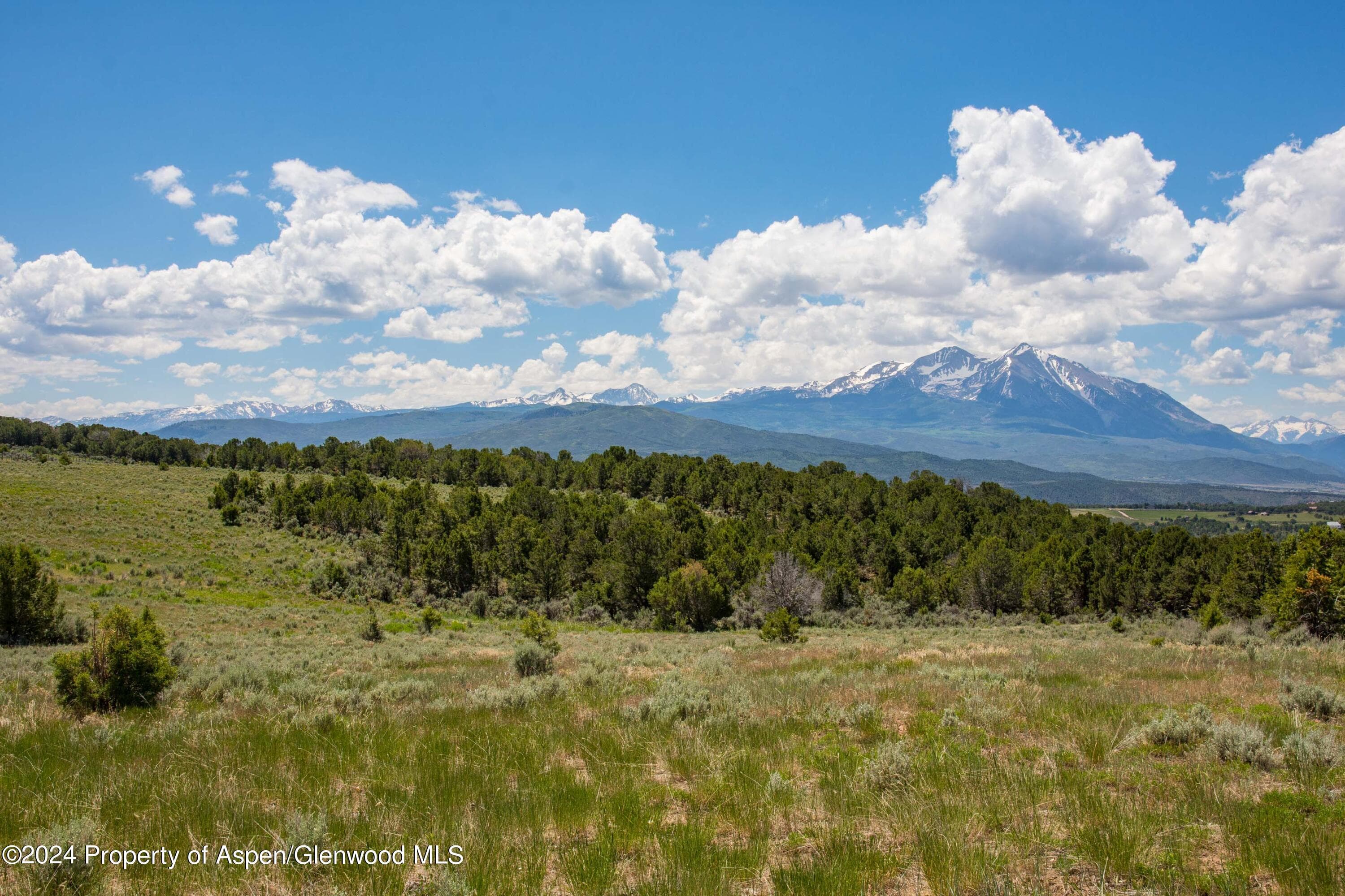 1900 Co Rd 103, Carbondale, CO 81623 - Photo 25