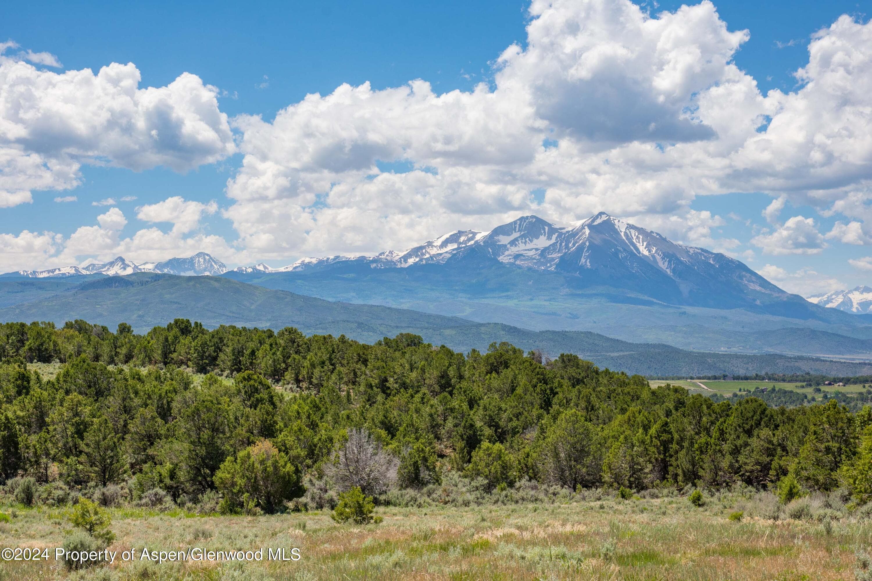 1900 Co Rd 103, Carbondale, CO 81623 - Photo 26