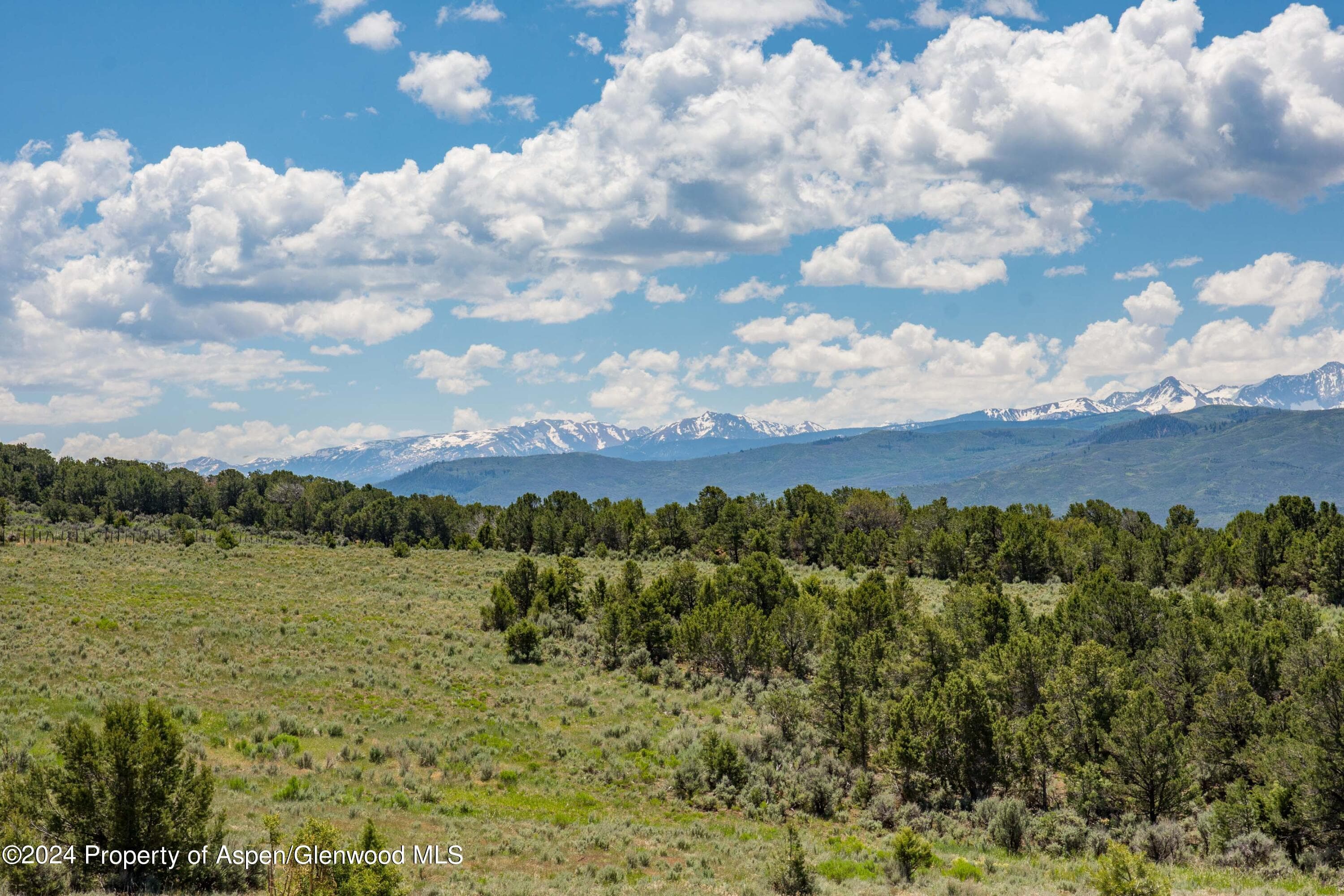 1900 Co Rd 103, Carbondale, CO 81623 - Photo 27