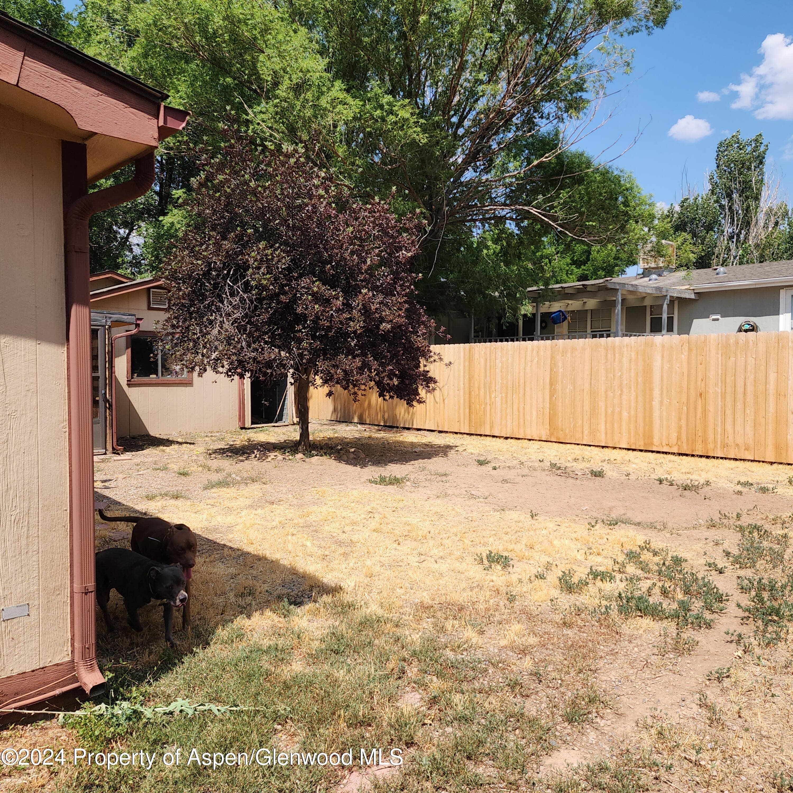 149 Cedar Circle, Parachute, CO 81635 - Photo 14