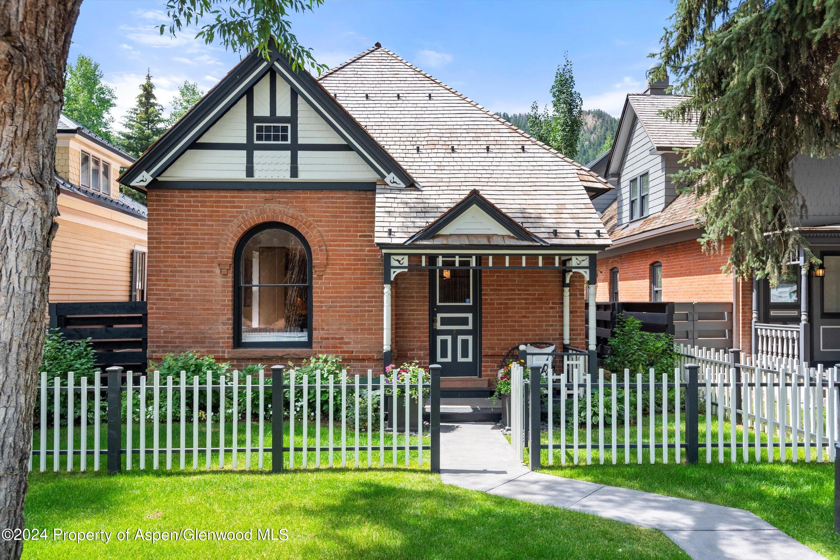 105 E Hallam Street, Aspen, CO 81611 - Photo 46