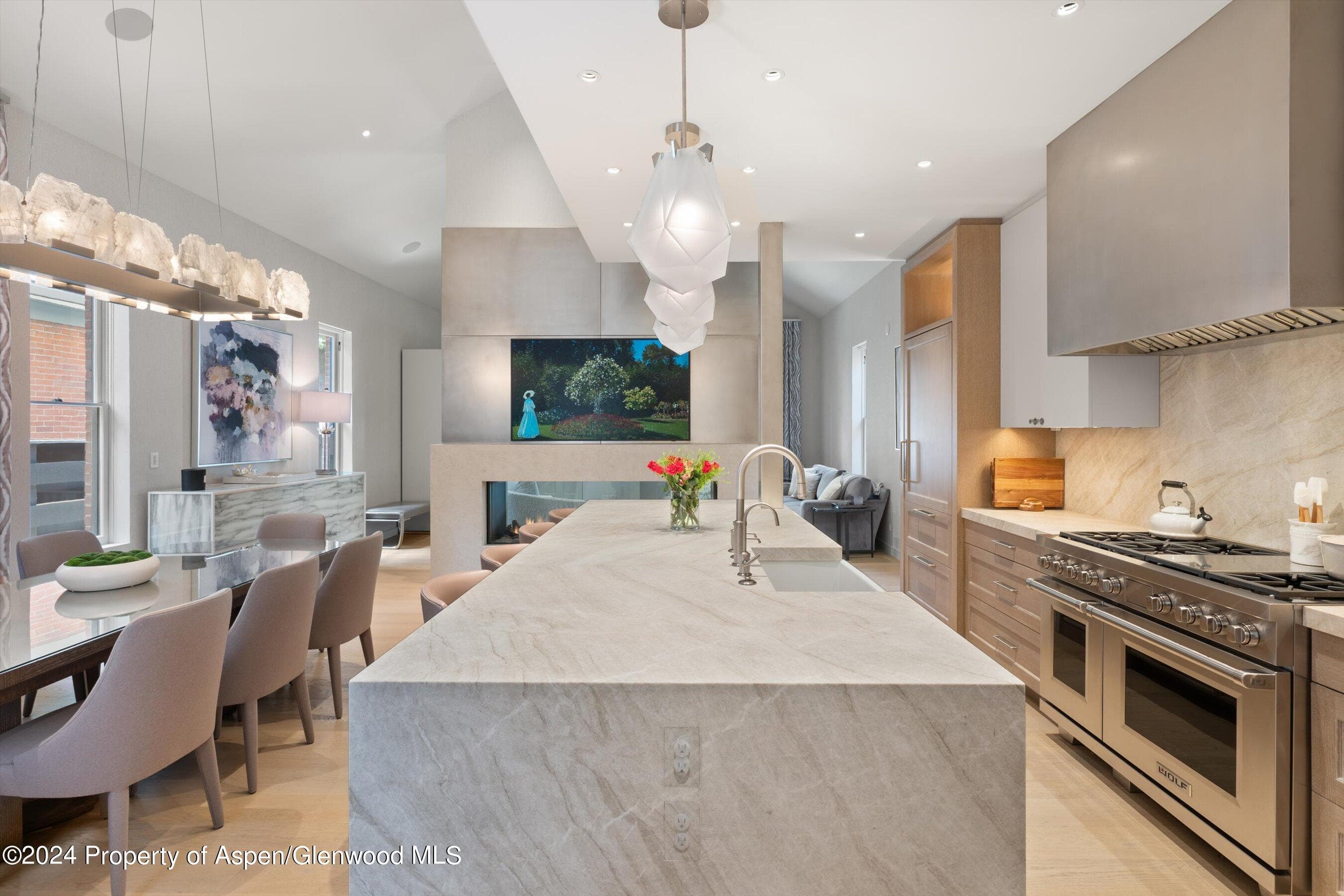 105 E Hallam Street, Aspen, CO 81611 - Photo 2