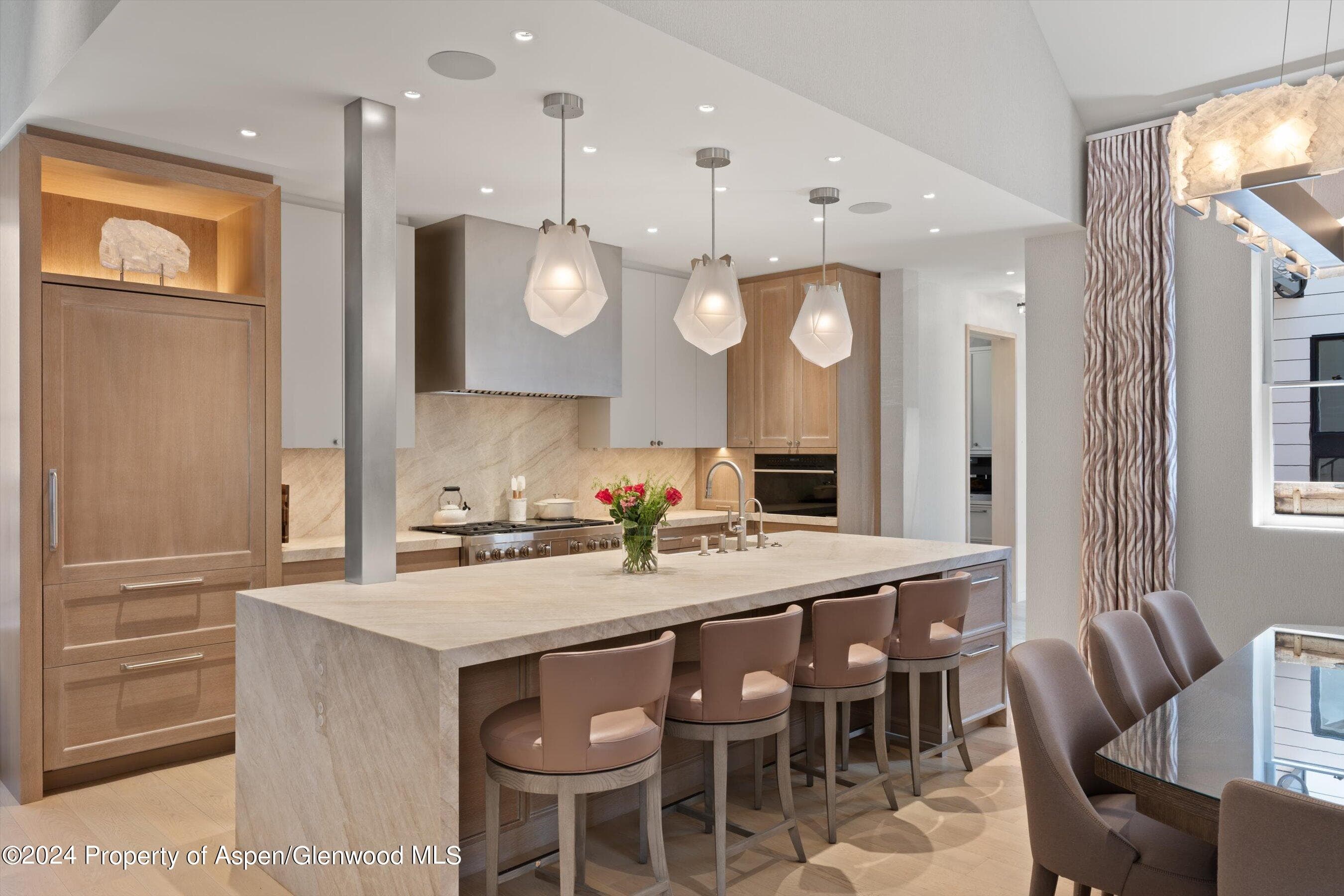 105 E Hallam Street, Aspen, CO 81611 - Photo 5