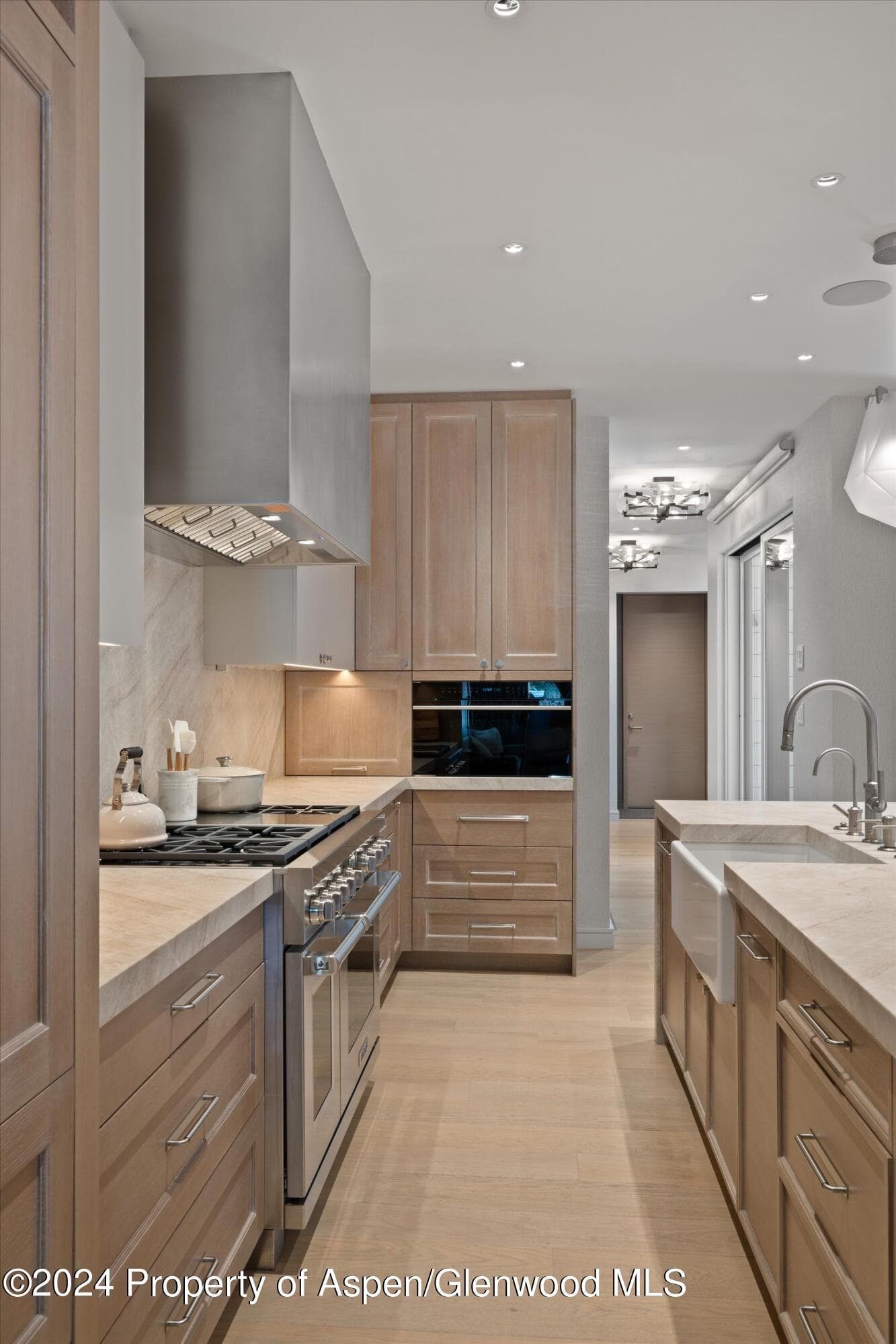 105 E Hallam Street, Aspen, CO 81611 - Photo 6
