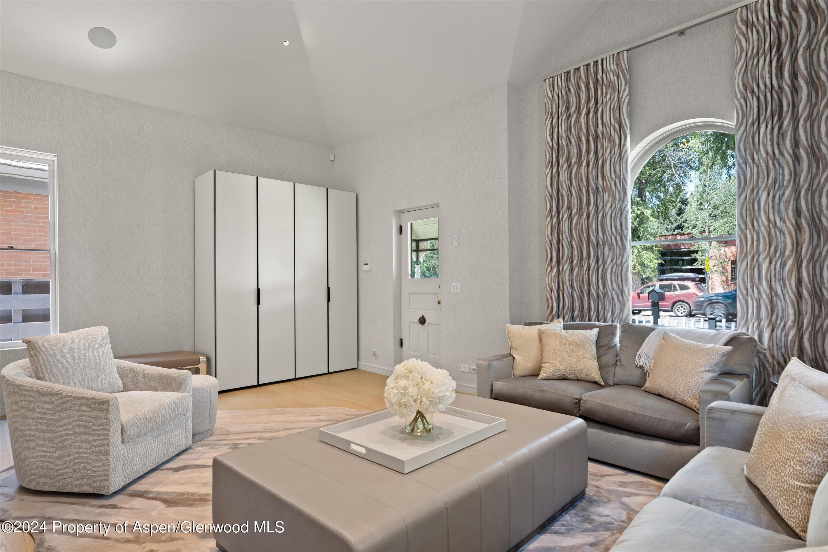 105 E Hallam Street, Aspen, CO 81611 - Photo 14