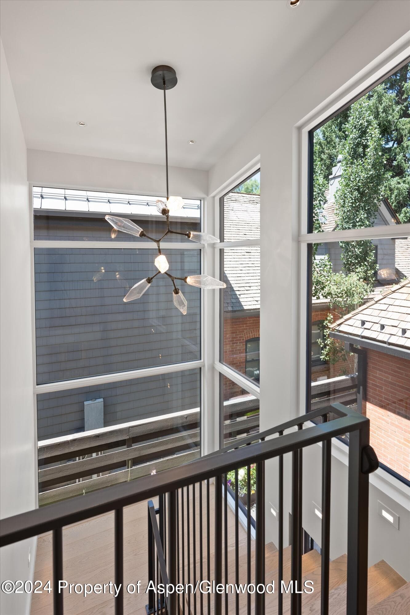 105 E Hallam Street, Aspen, CO 81611 - Photo 38
