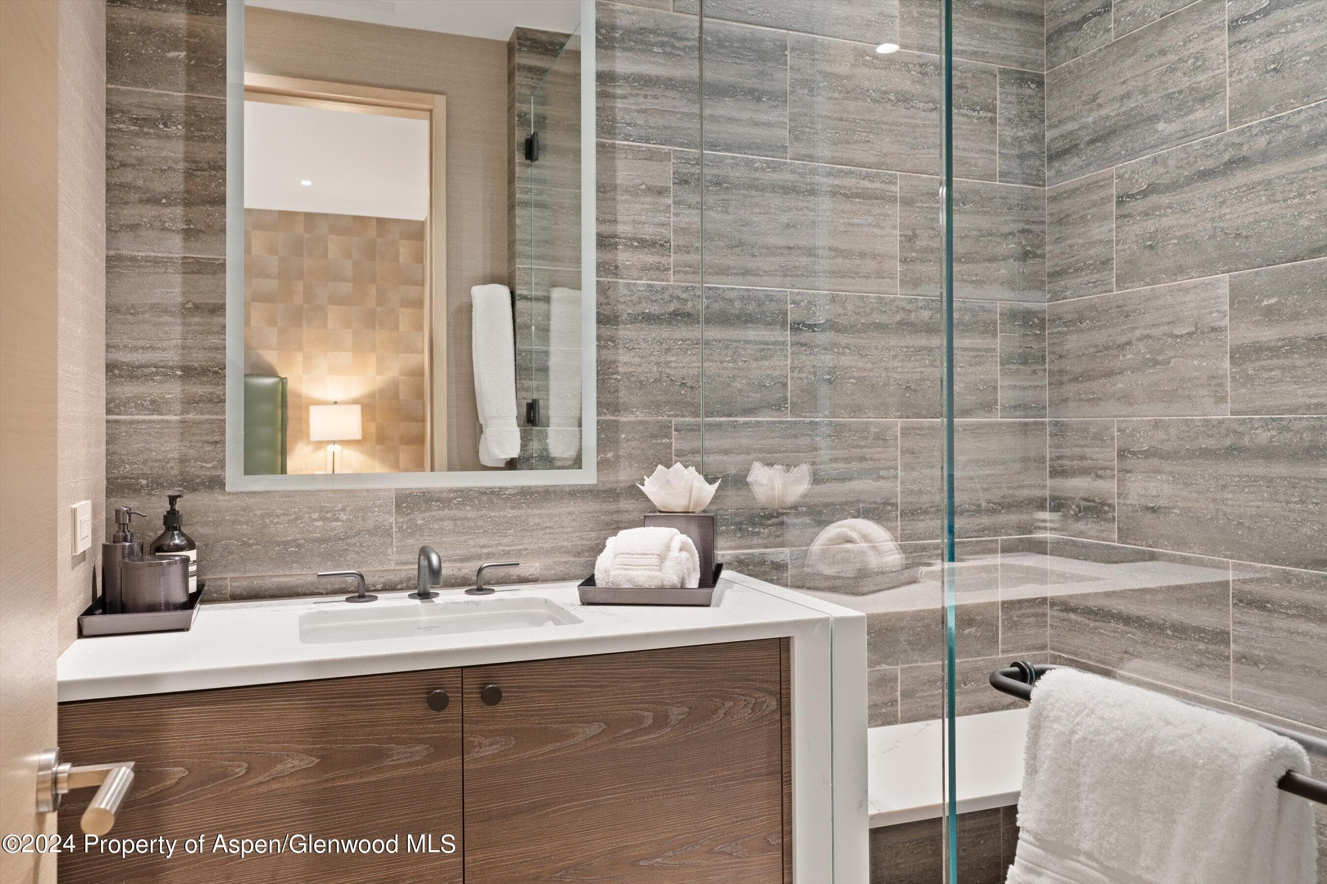 105 E Hallam Street, Aspen, CO 81611 - Photo 22