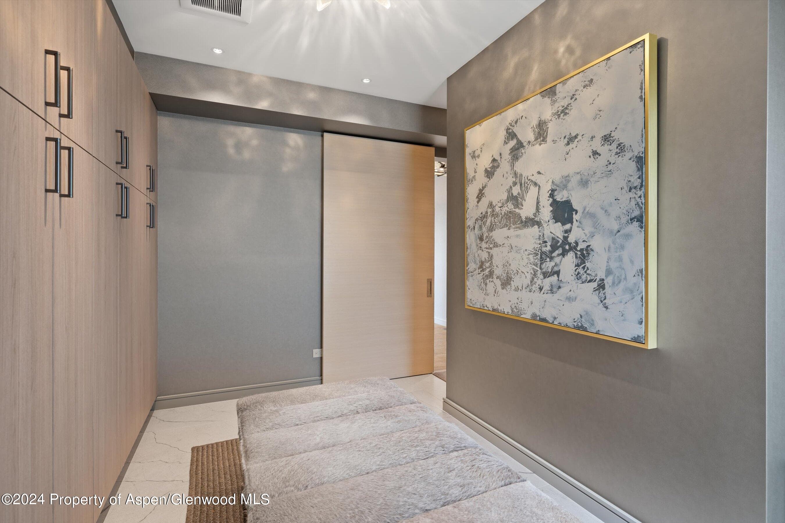 105 E Hallam Street, Aspen, CO 81611 - Photo 41