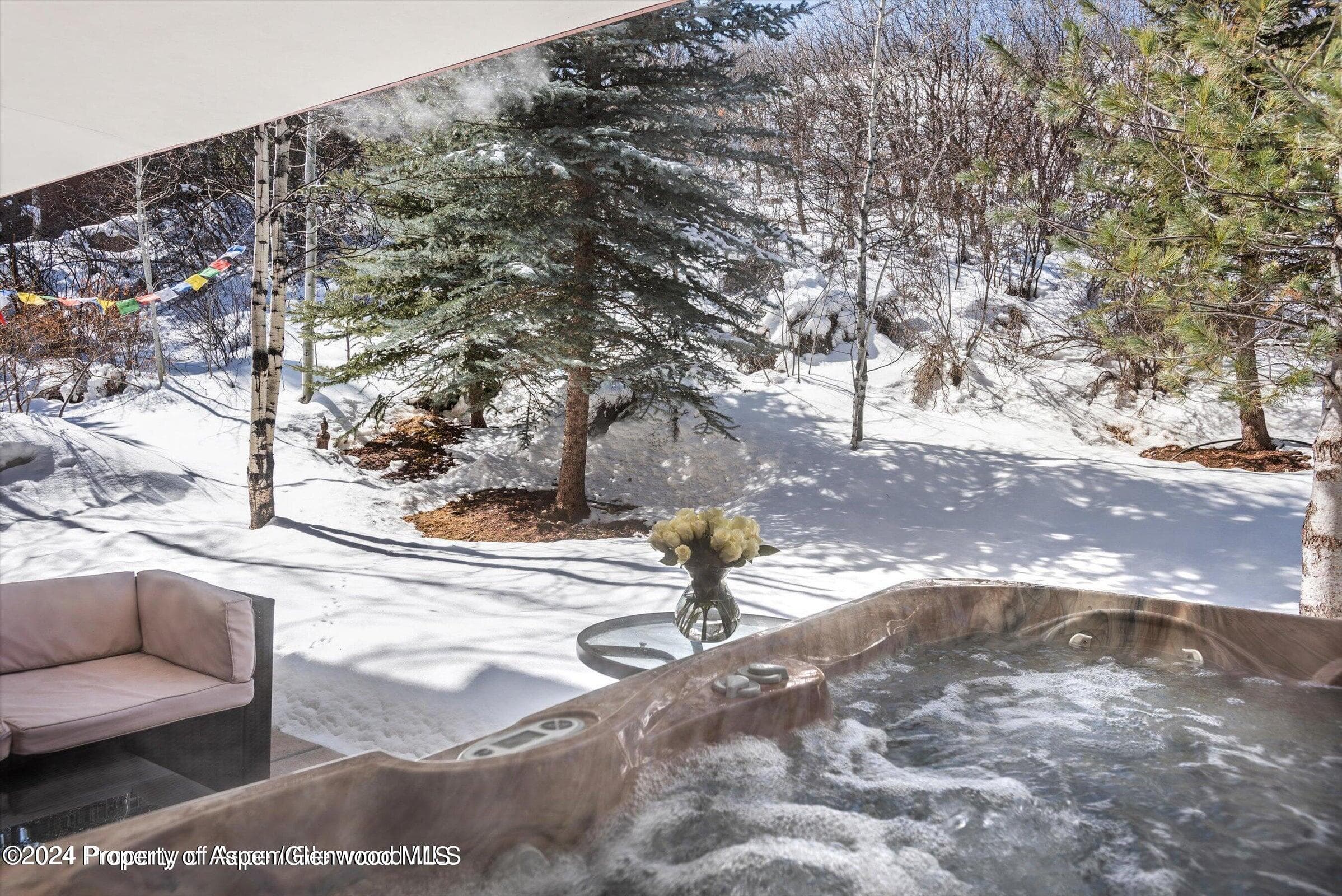 1015 Cemetery Lane, Aspen, CO 81611 - Photo 40