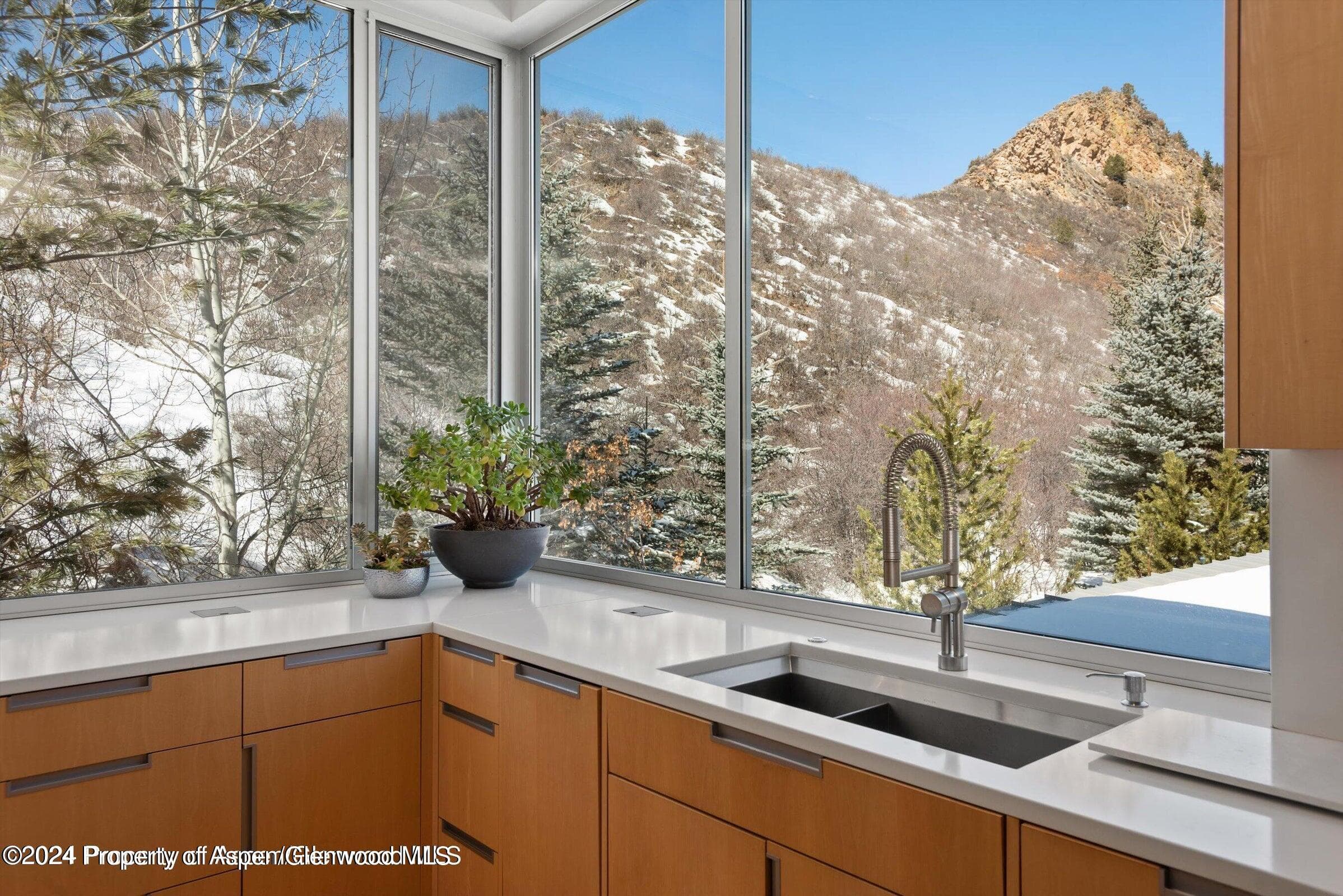 1015 Cemetery Lane, Aspen, CO 81611 - Photo 14
