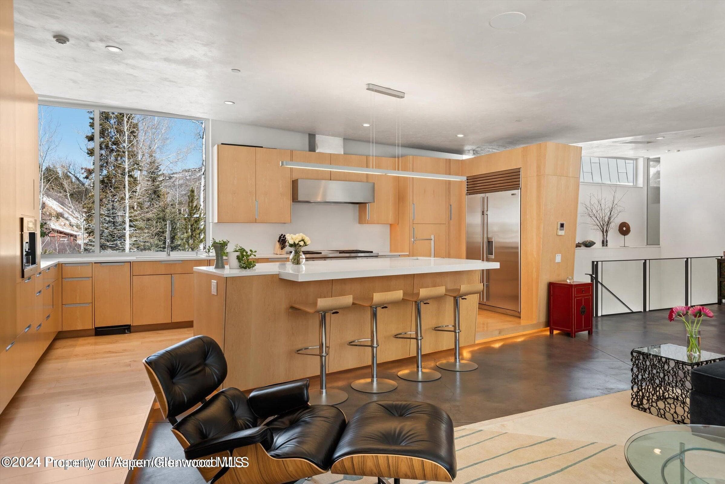 1015 Cemetery Lane, Aspen, CO 81611 - Photo 13