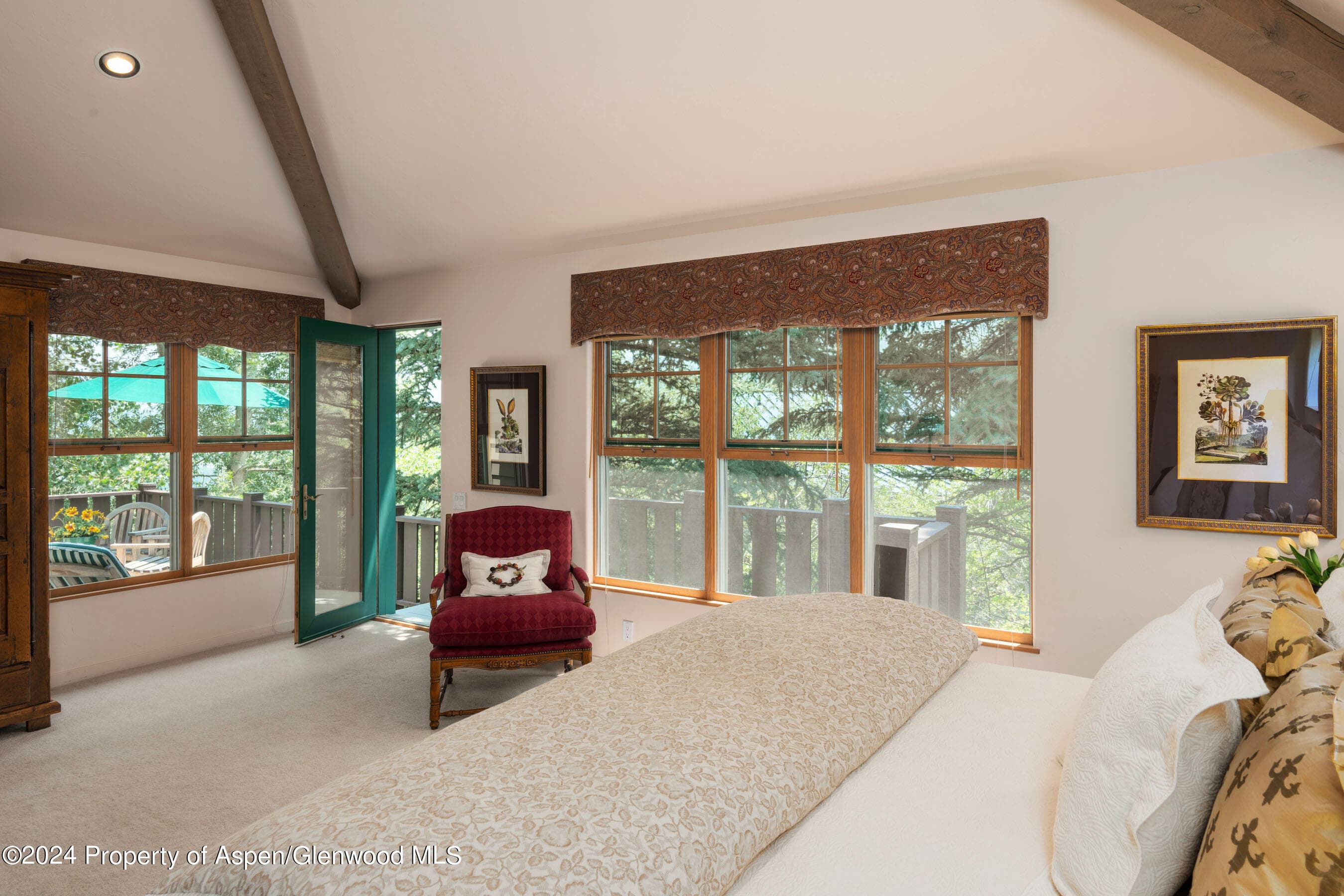 75 Terrace Lane, Snowmass Village, CO 81615 - Photo 23