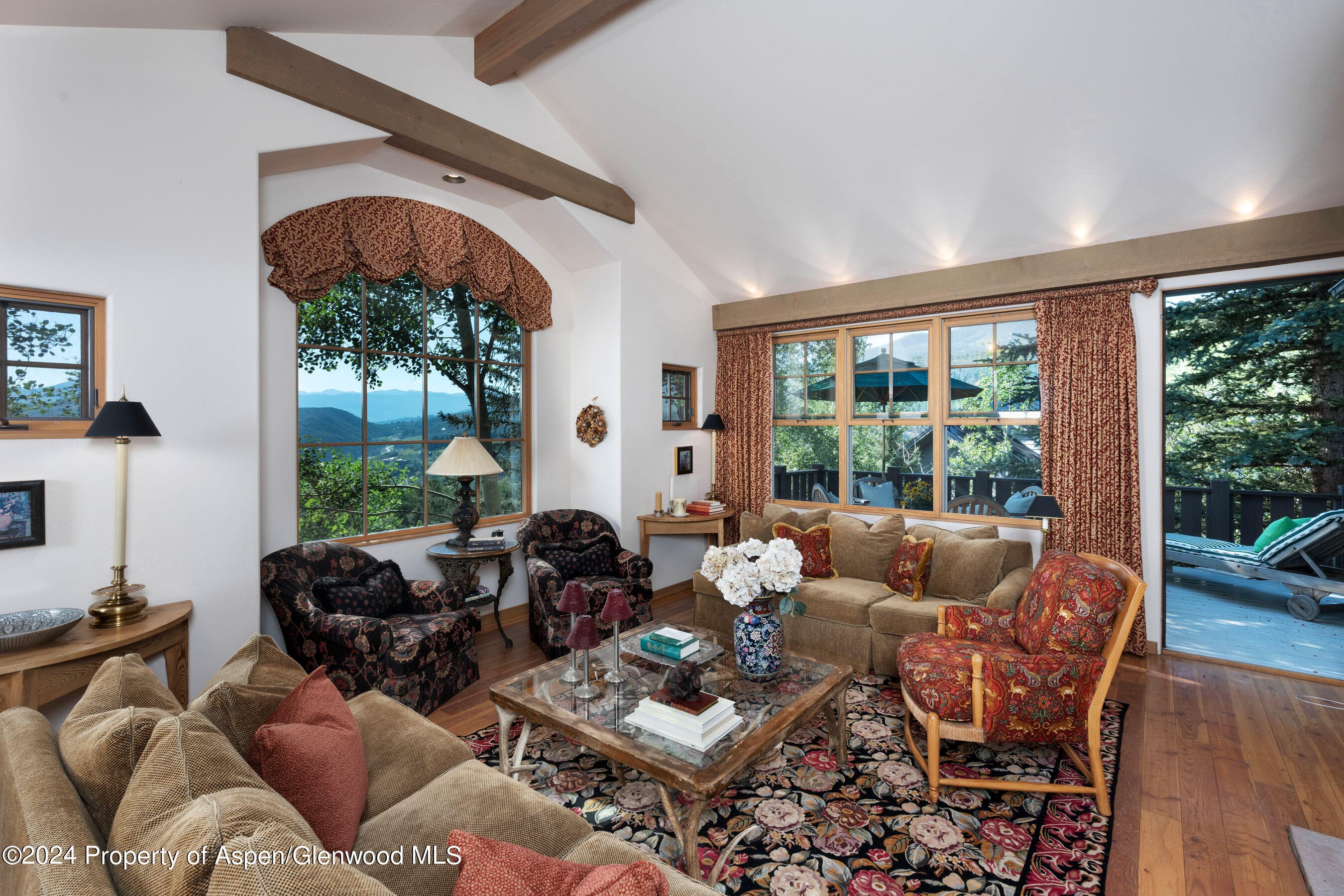 75 Terrace Lane, Snowmass Village, CO 81615 - Photo 11