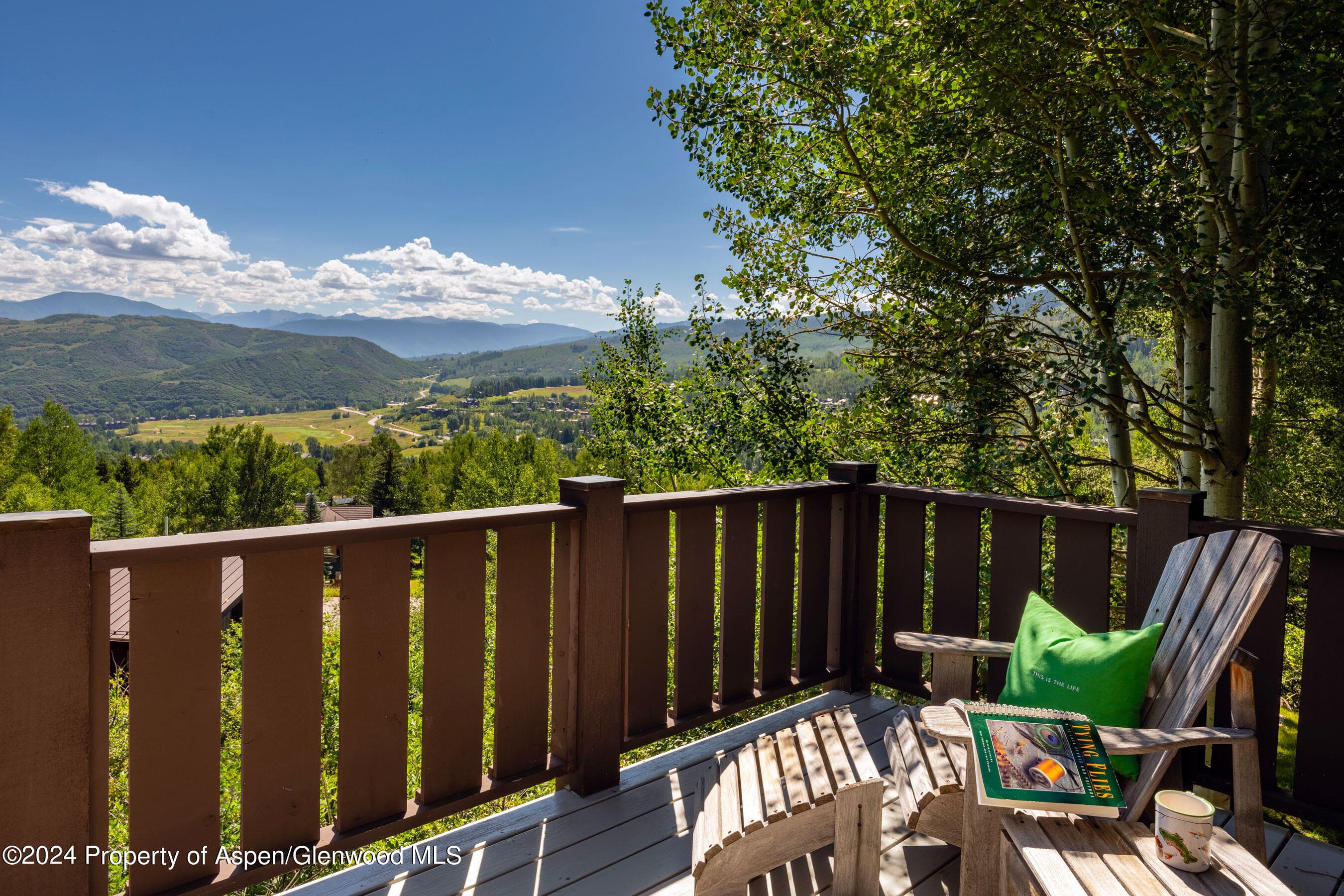 75 Terrace Lane, Snowmass Village, CO 81615 - Photo 7