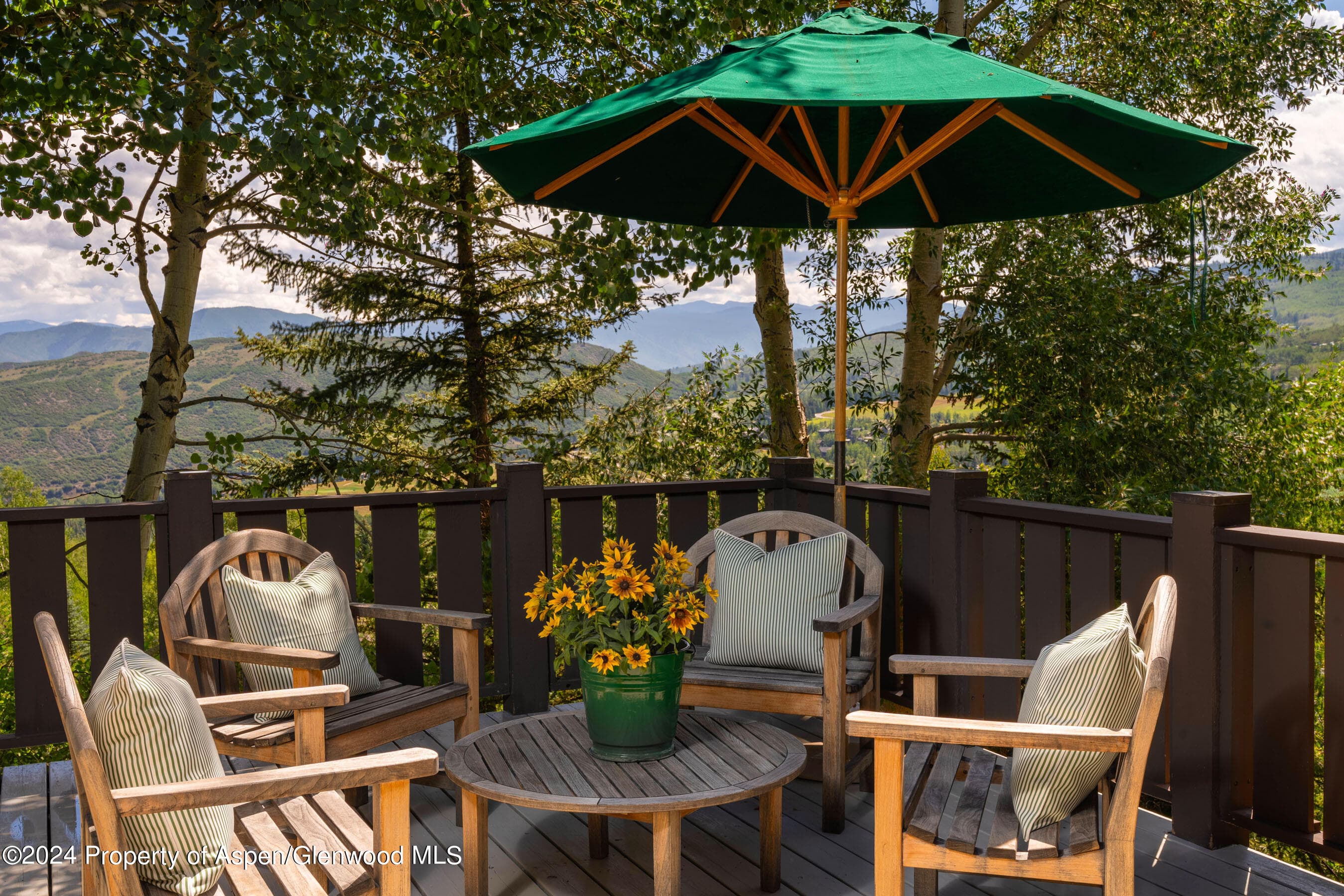75 Terrace Lane, Snowmass Village, CO 81615 - Photo 6