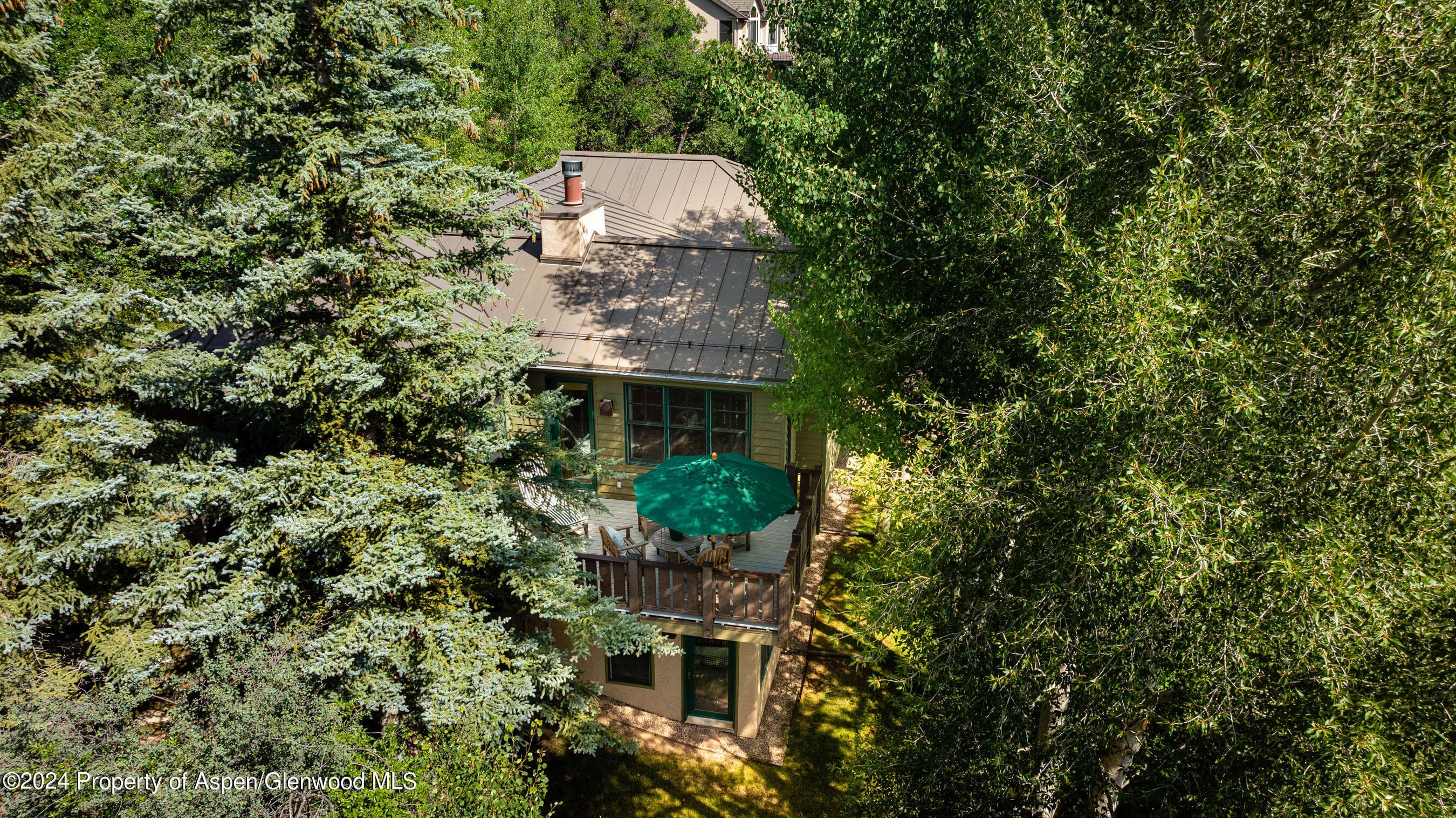 75 Terrace Lane, Snowmass Village, CO 81615 - Photo 4