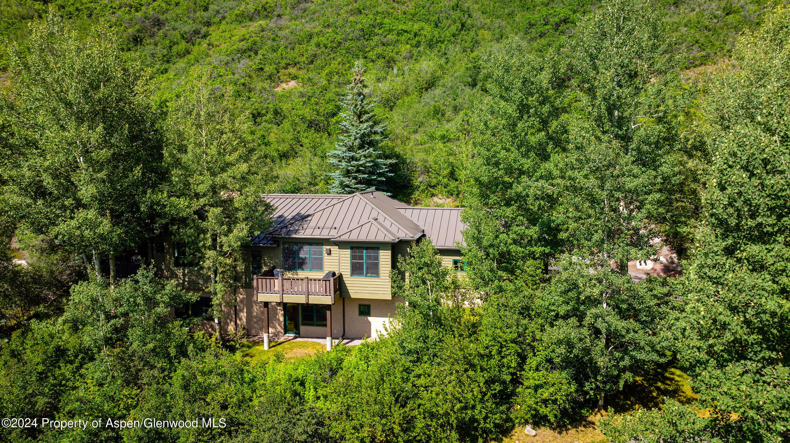 75 Terrace Lane, Snowmass Village, CO 81615 - Photo 1