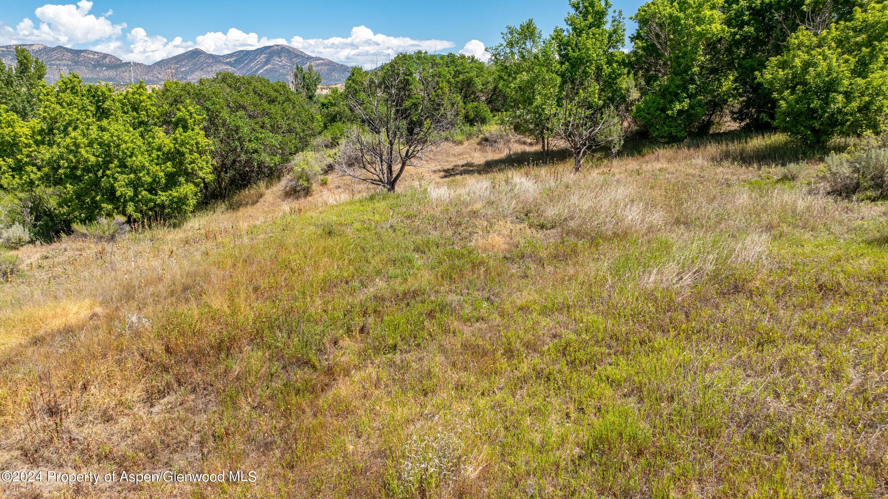 Phase 1B TBD Creekside Drive, Rifle, CO 81650 - Photo 6