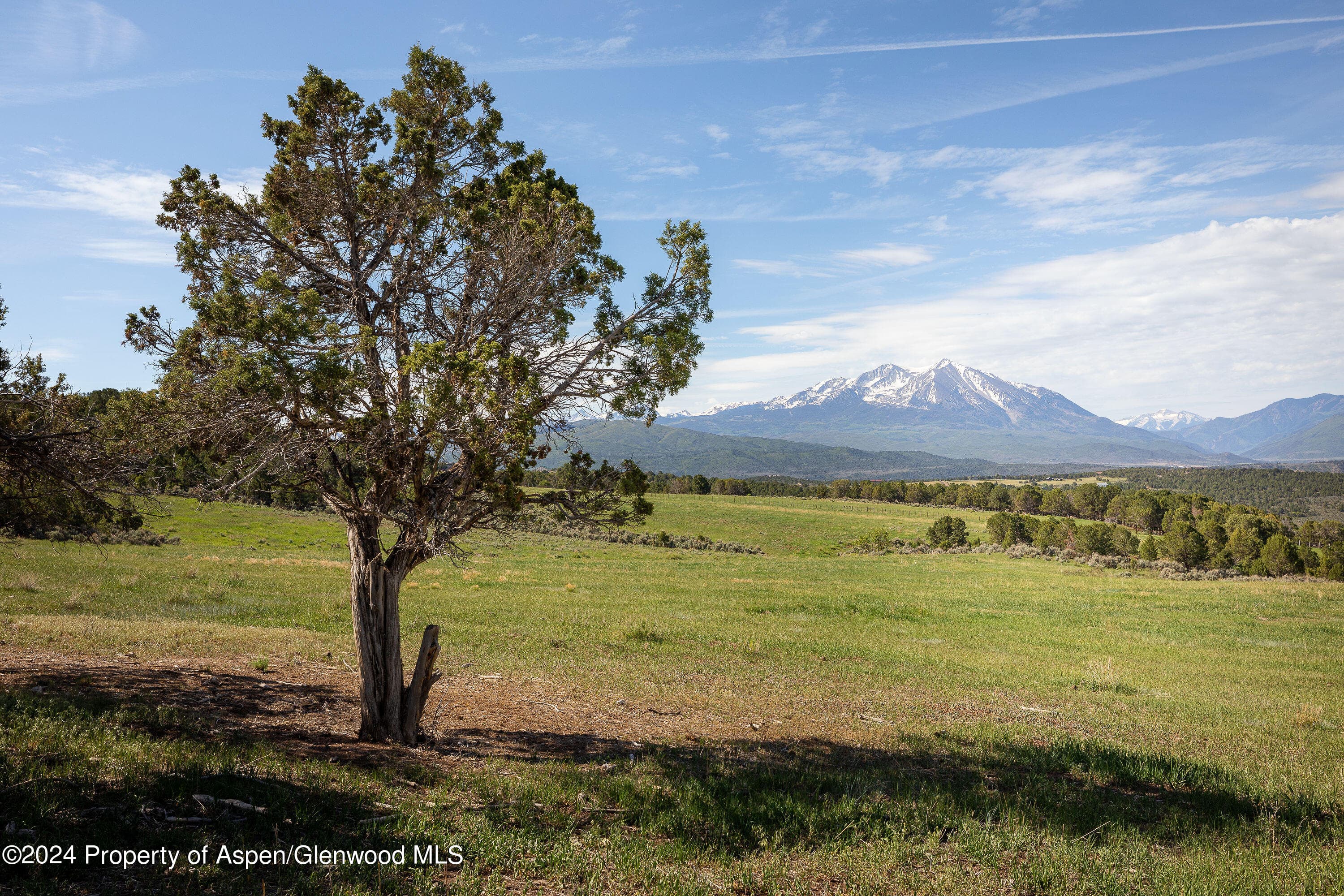 1900 Co Rd 103, Carbondale, CO 81623 - Photo 7