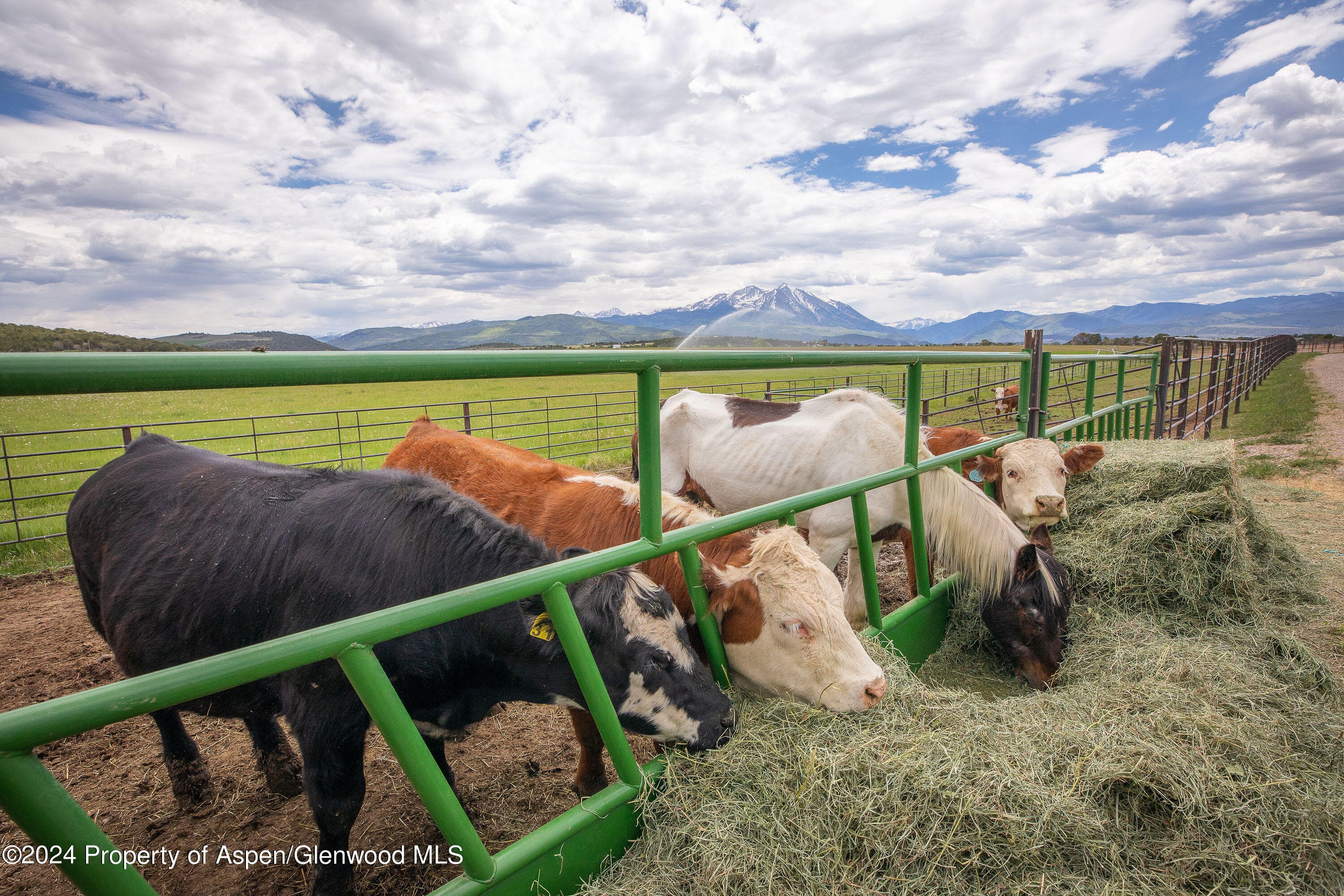 1900 Co Rd 103, Carbondale, CO 81623 - Photo 33
