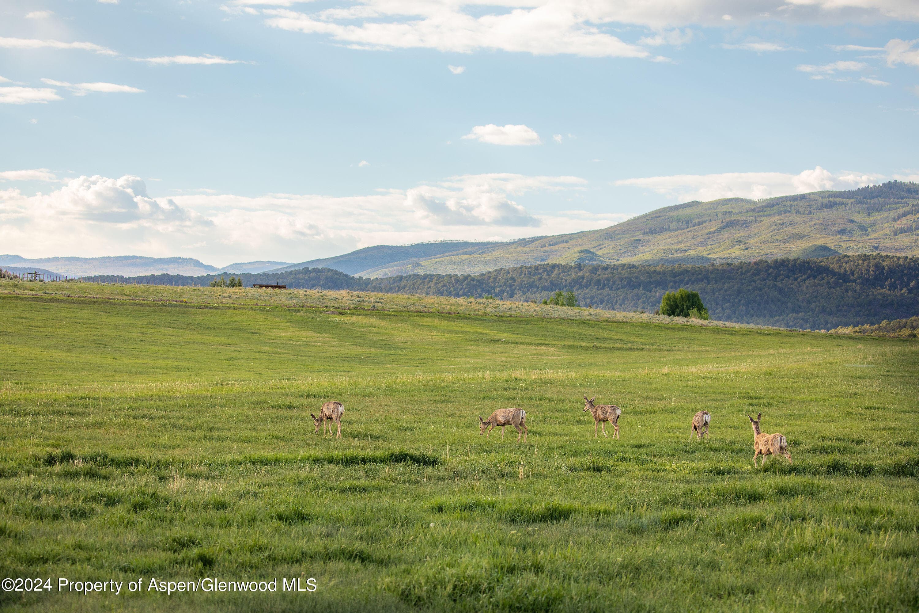 1900 Co Rd 103, Carbondale, CO 81623 - Photo 8